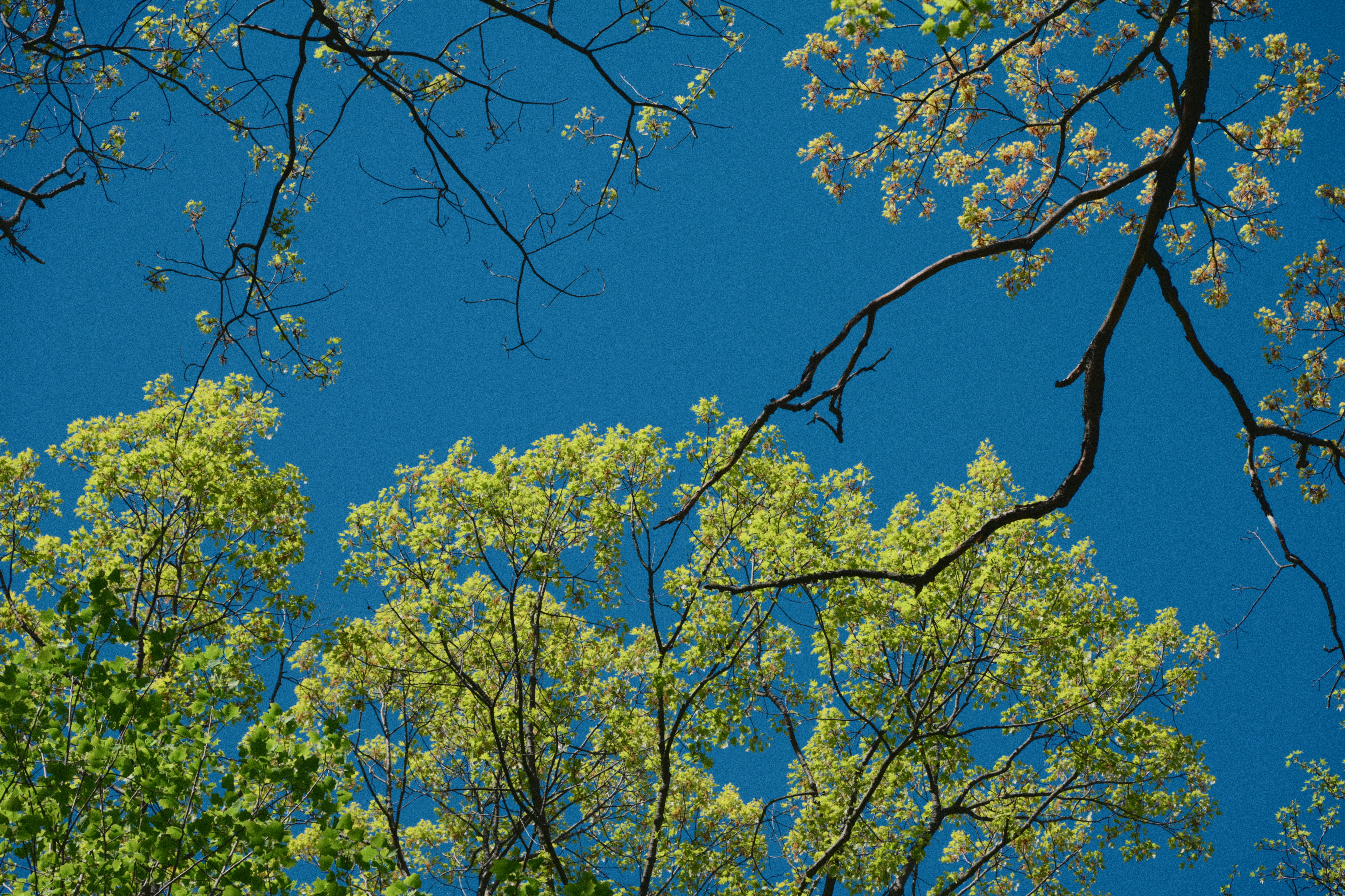 Photo by yi2026