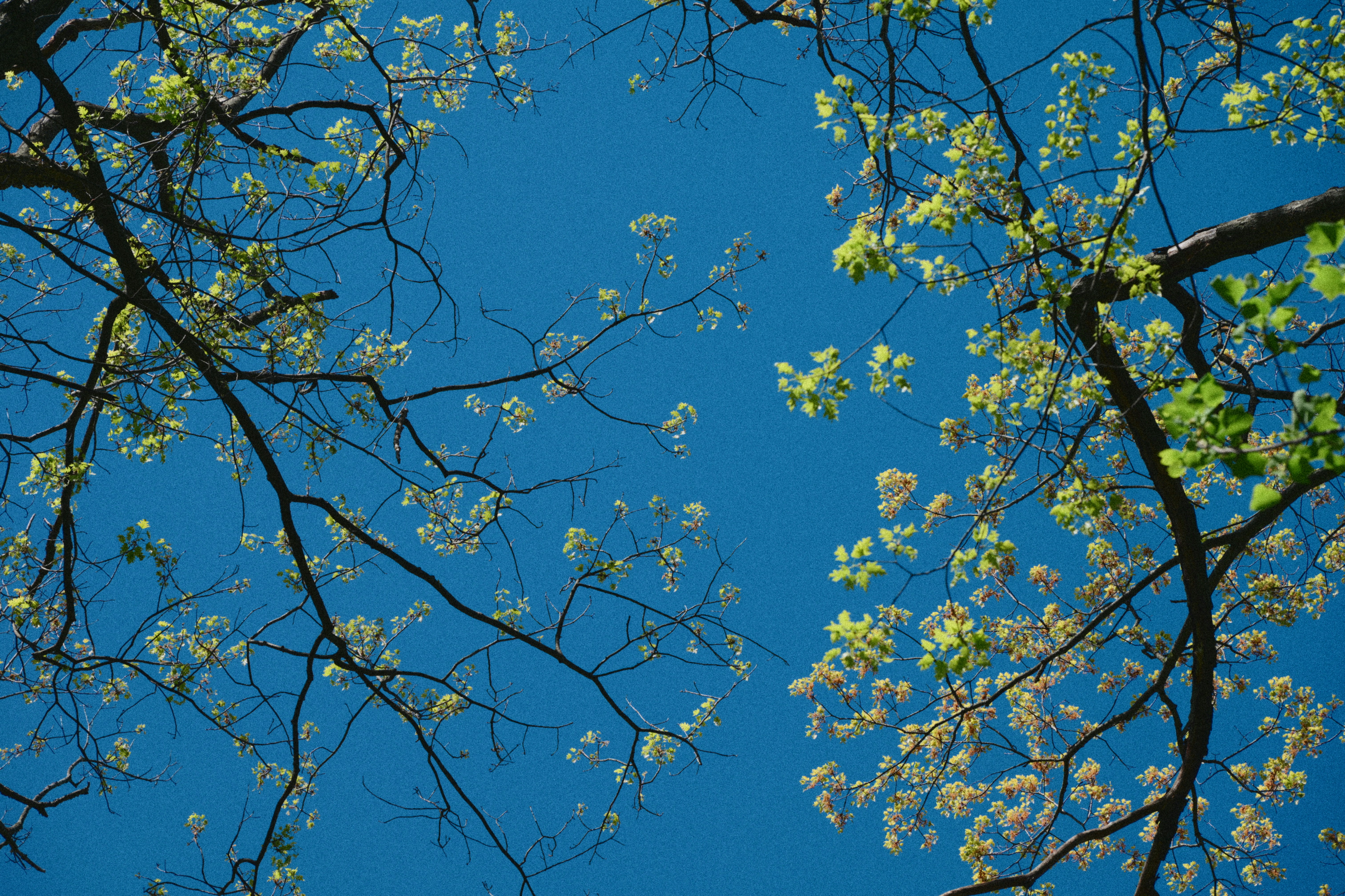 Photo by yi2026
