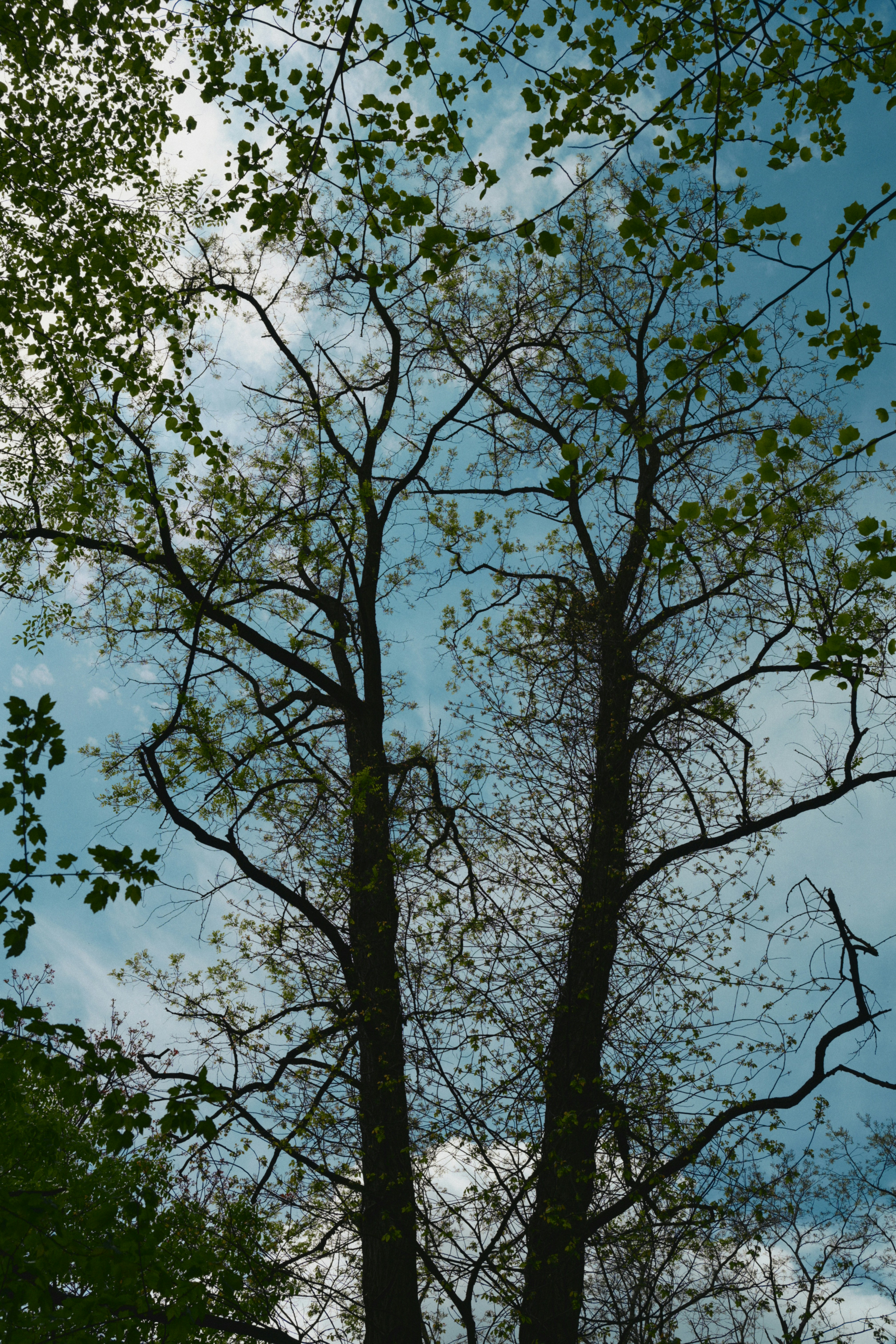 Photo by yi2026