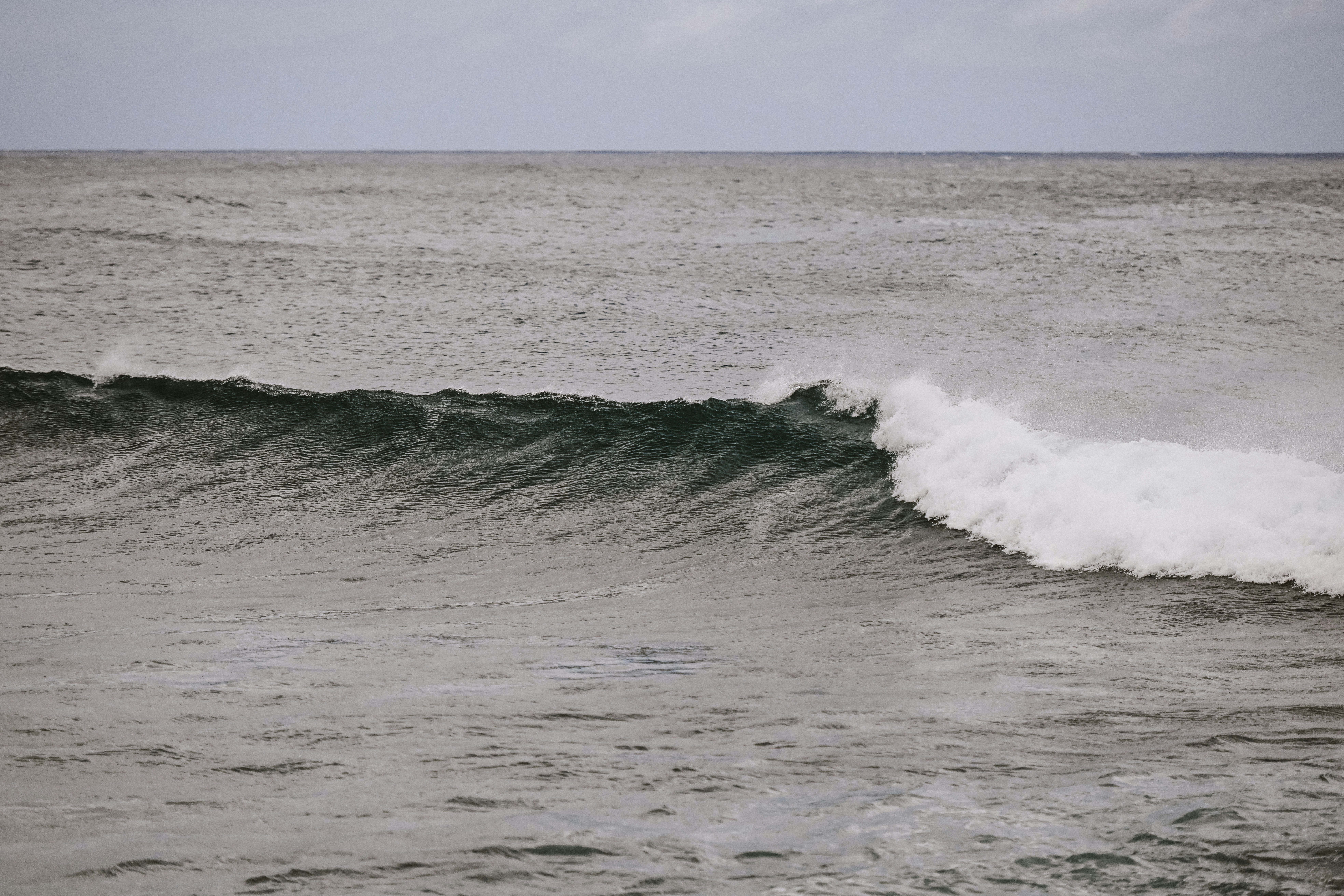 Photo by blakewisz