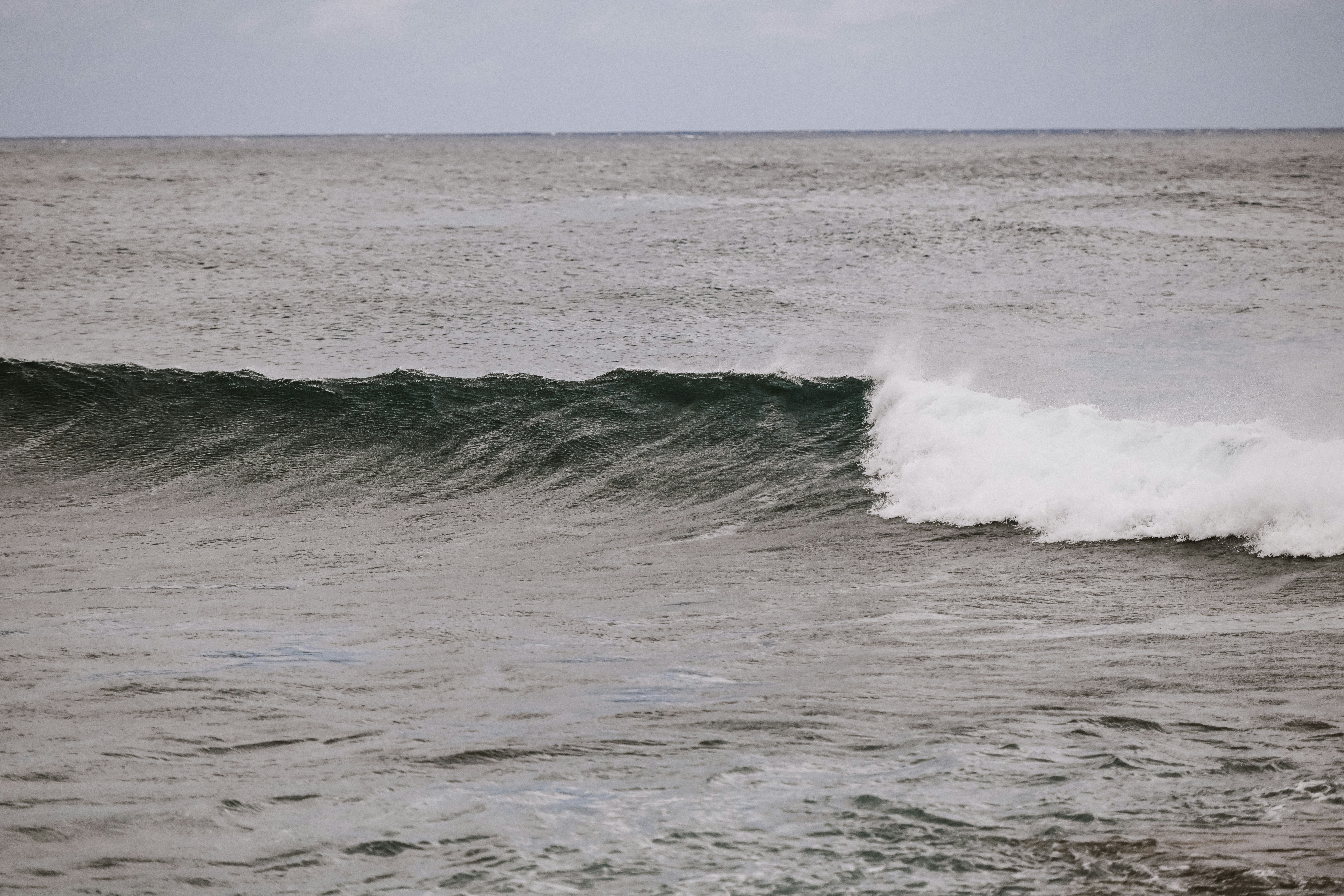 Photo by blakewisz