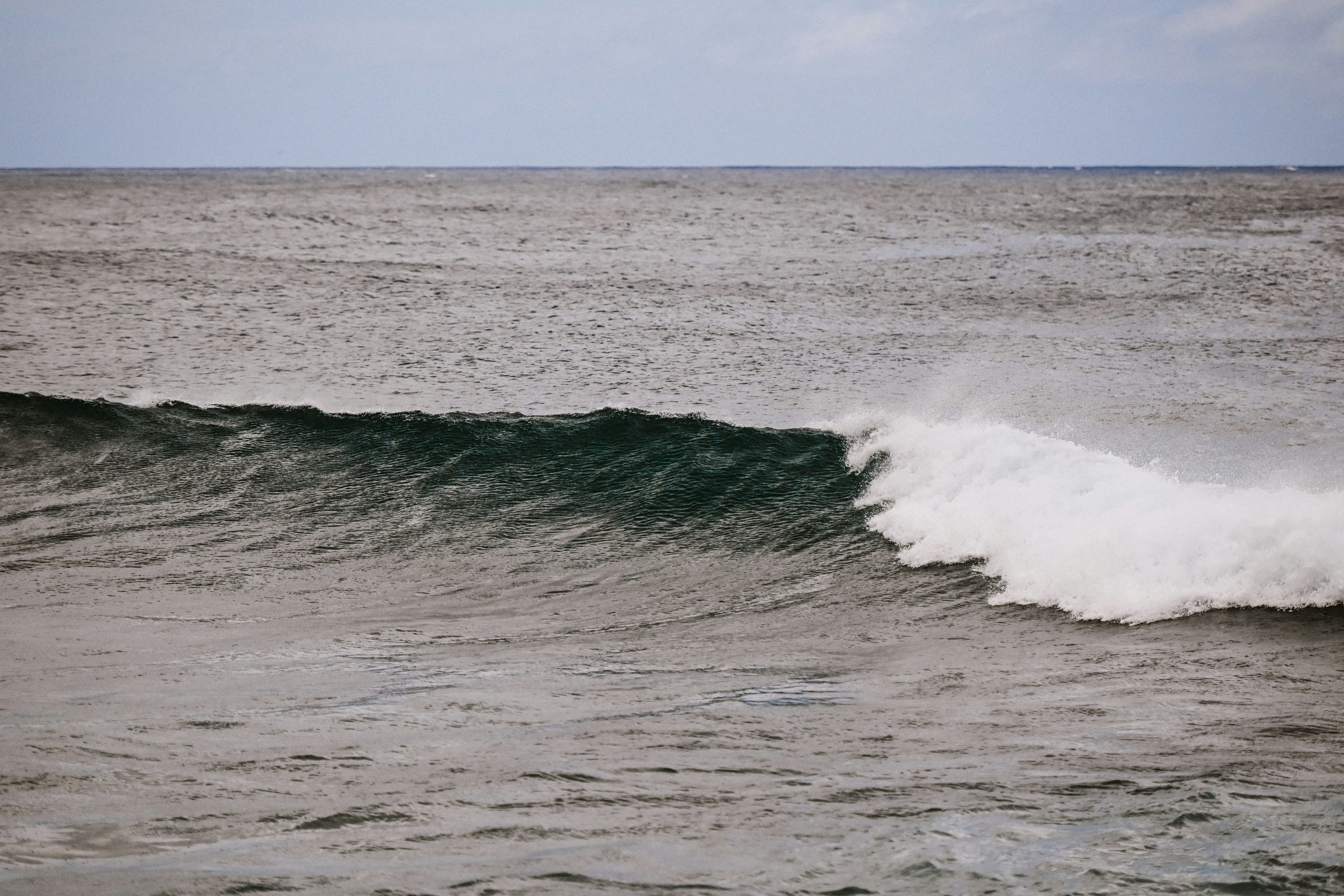 Photo by blakewisz