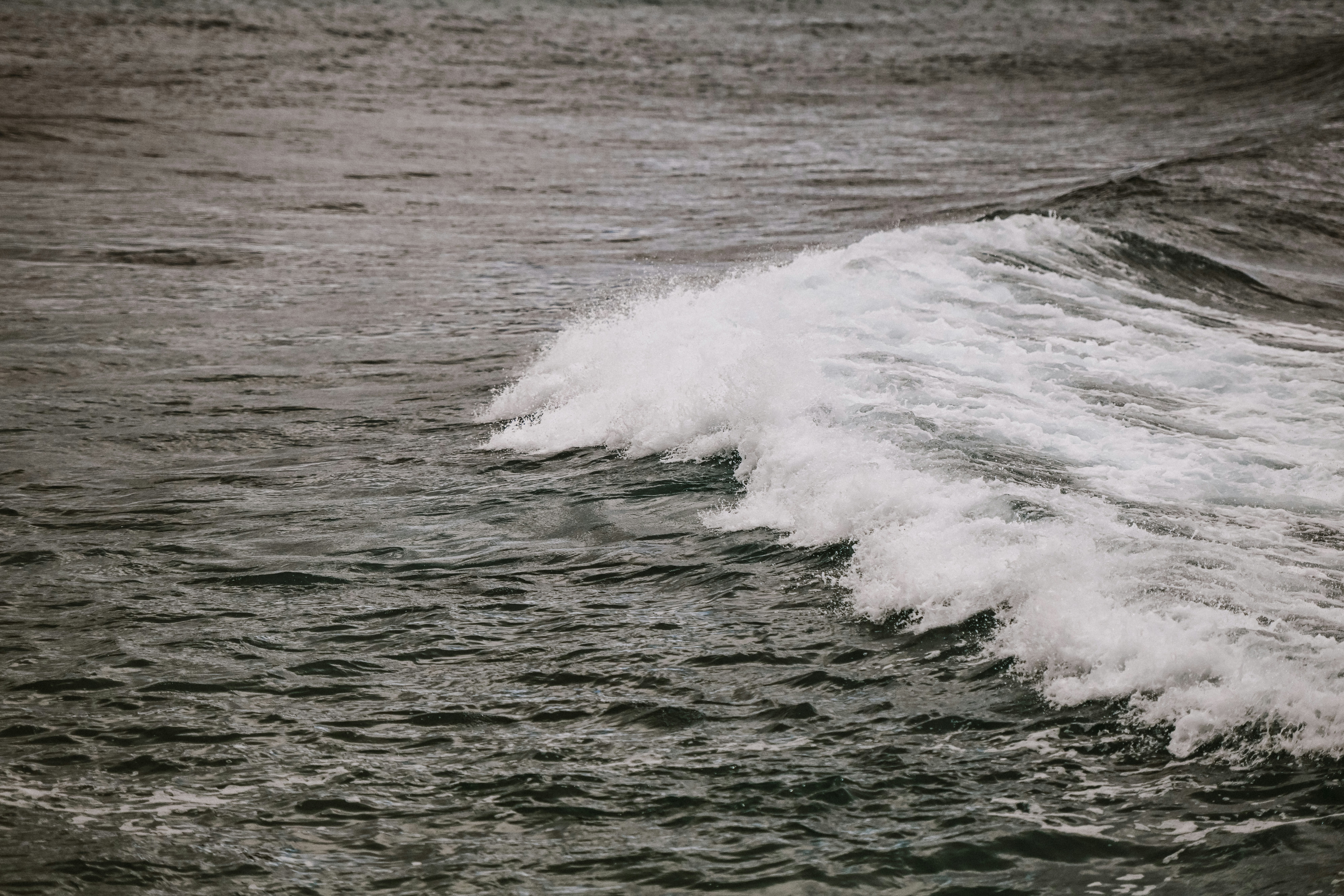 Photo by blakewisz