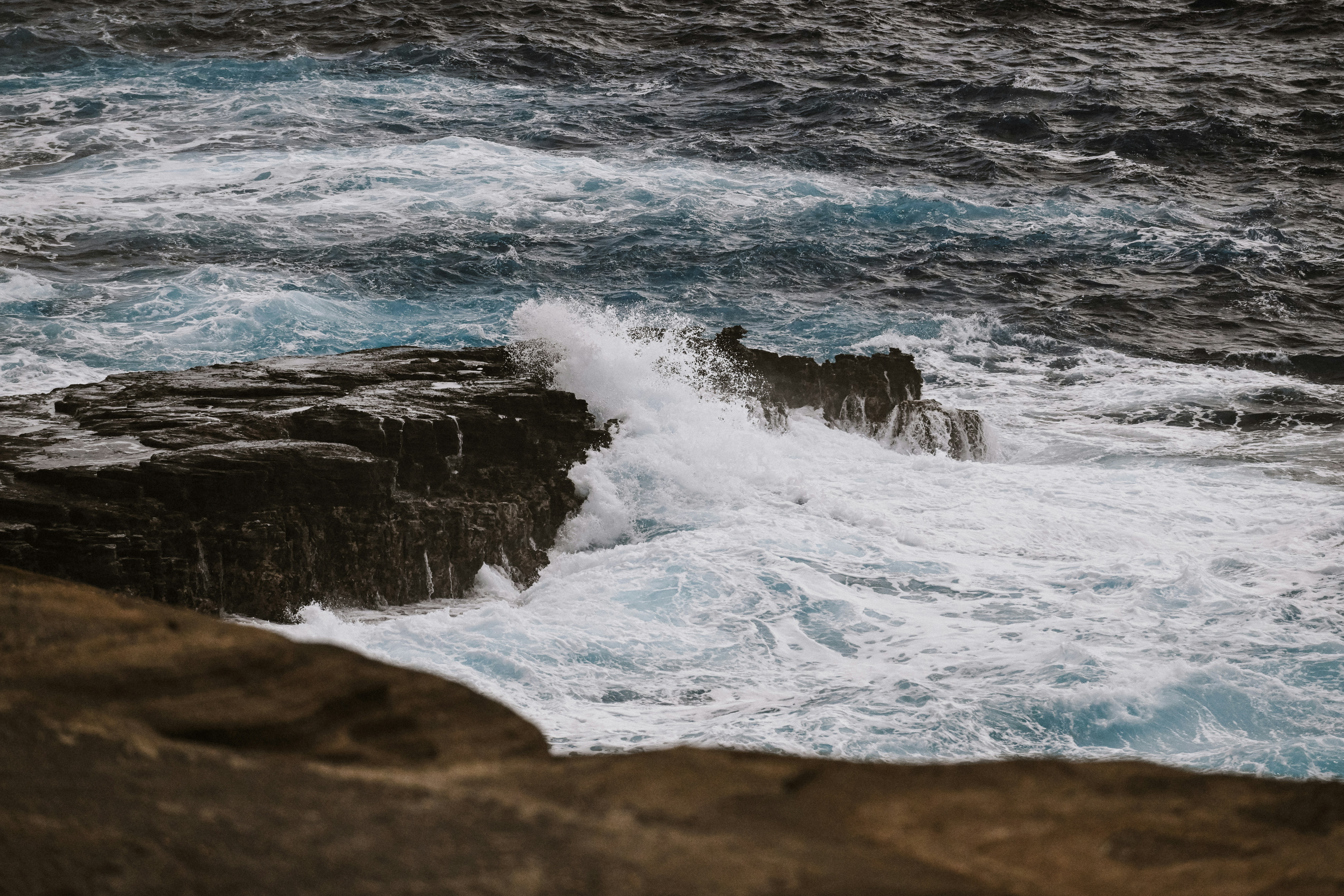 Photo by blakewisz