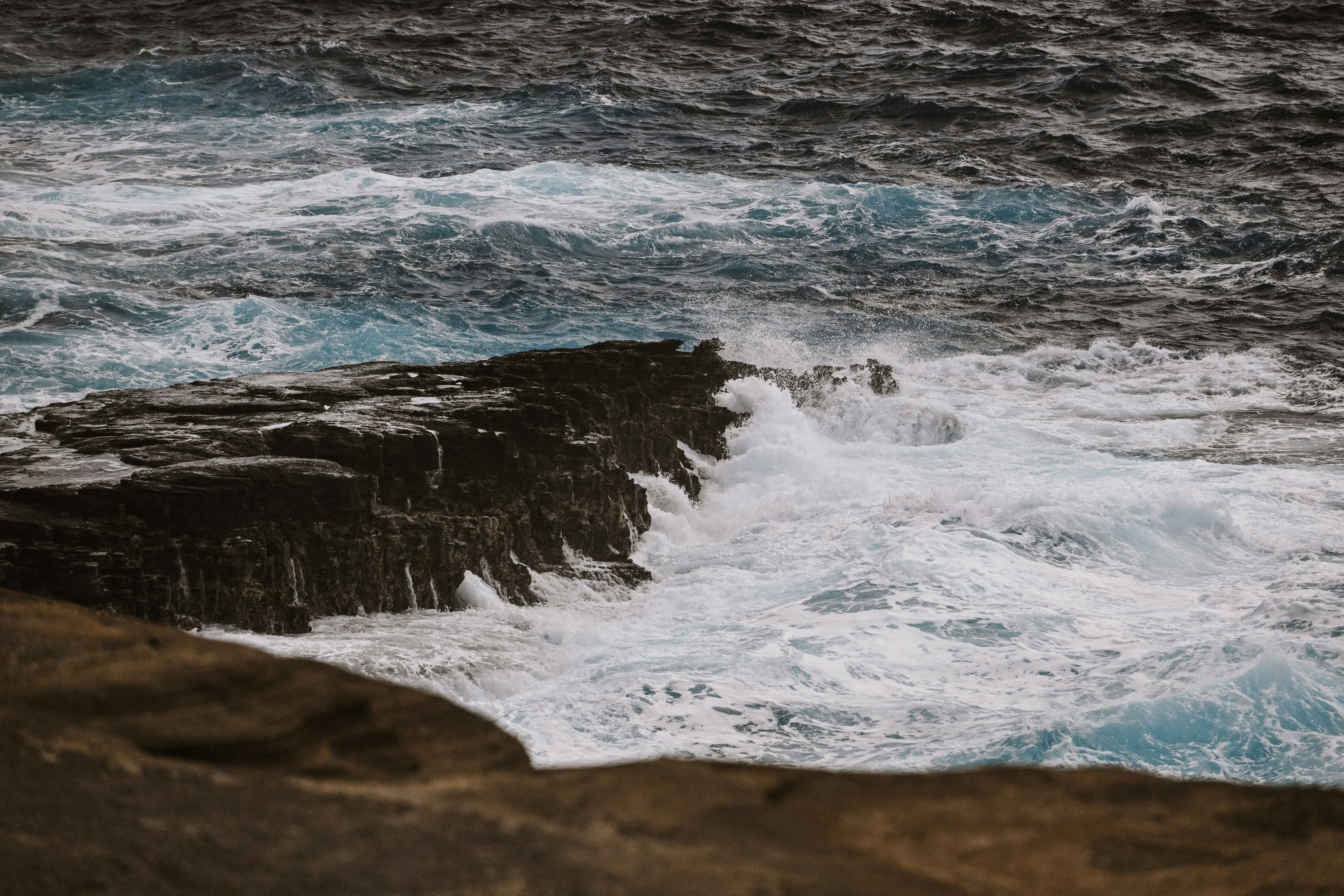 Photo by blakewisz