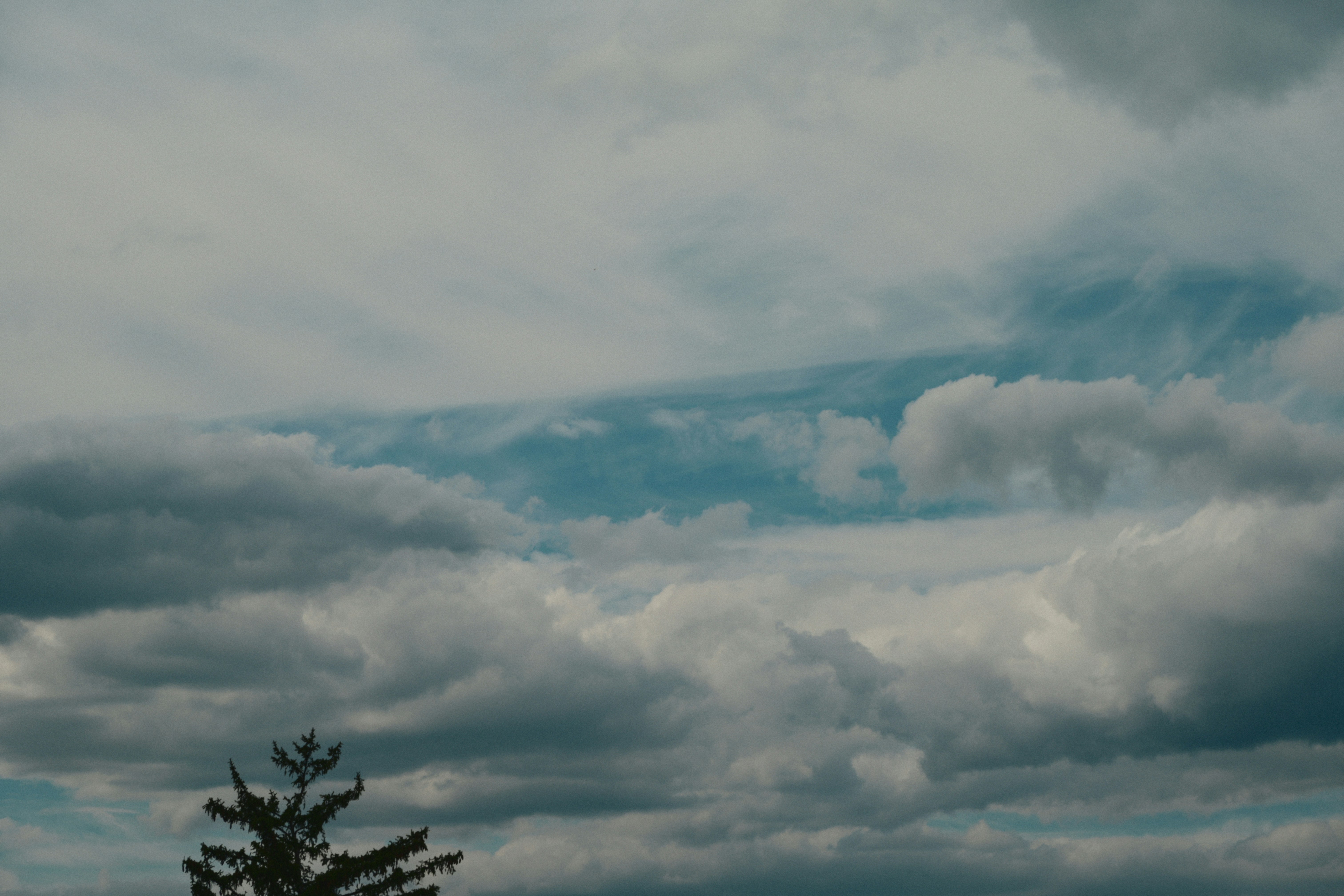Photo by yi2026