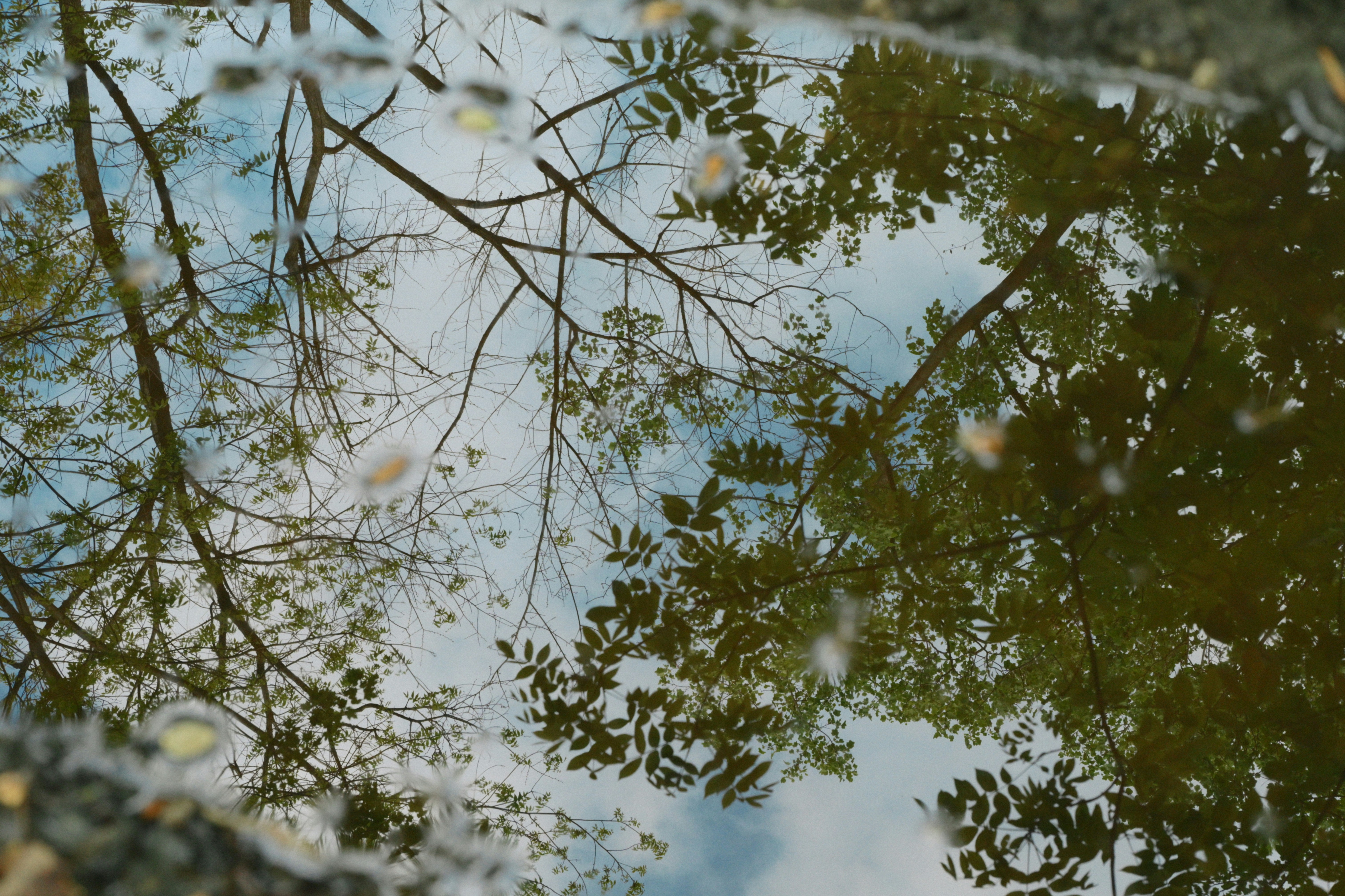 Photo by yi2026