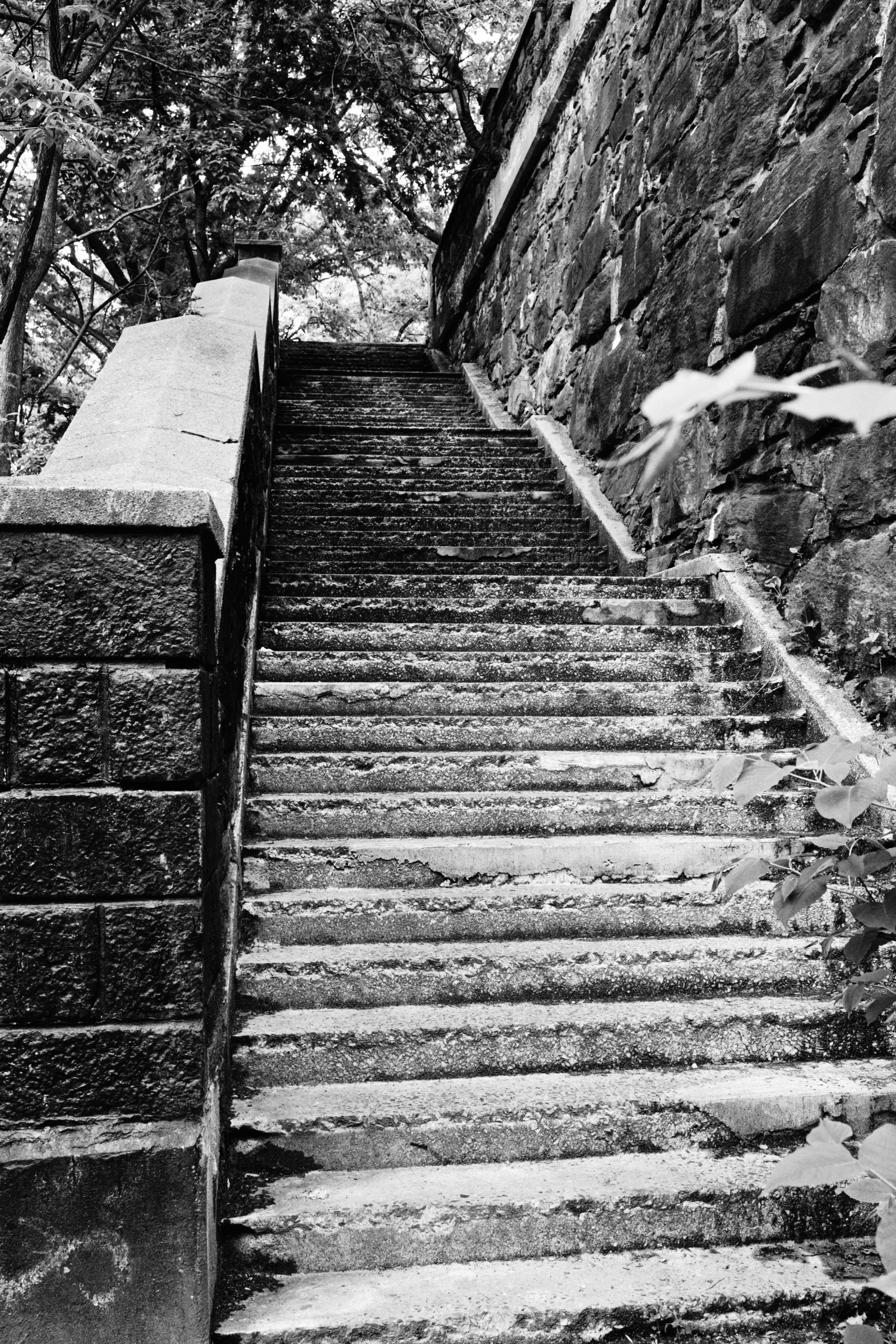 Photo by yi2026