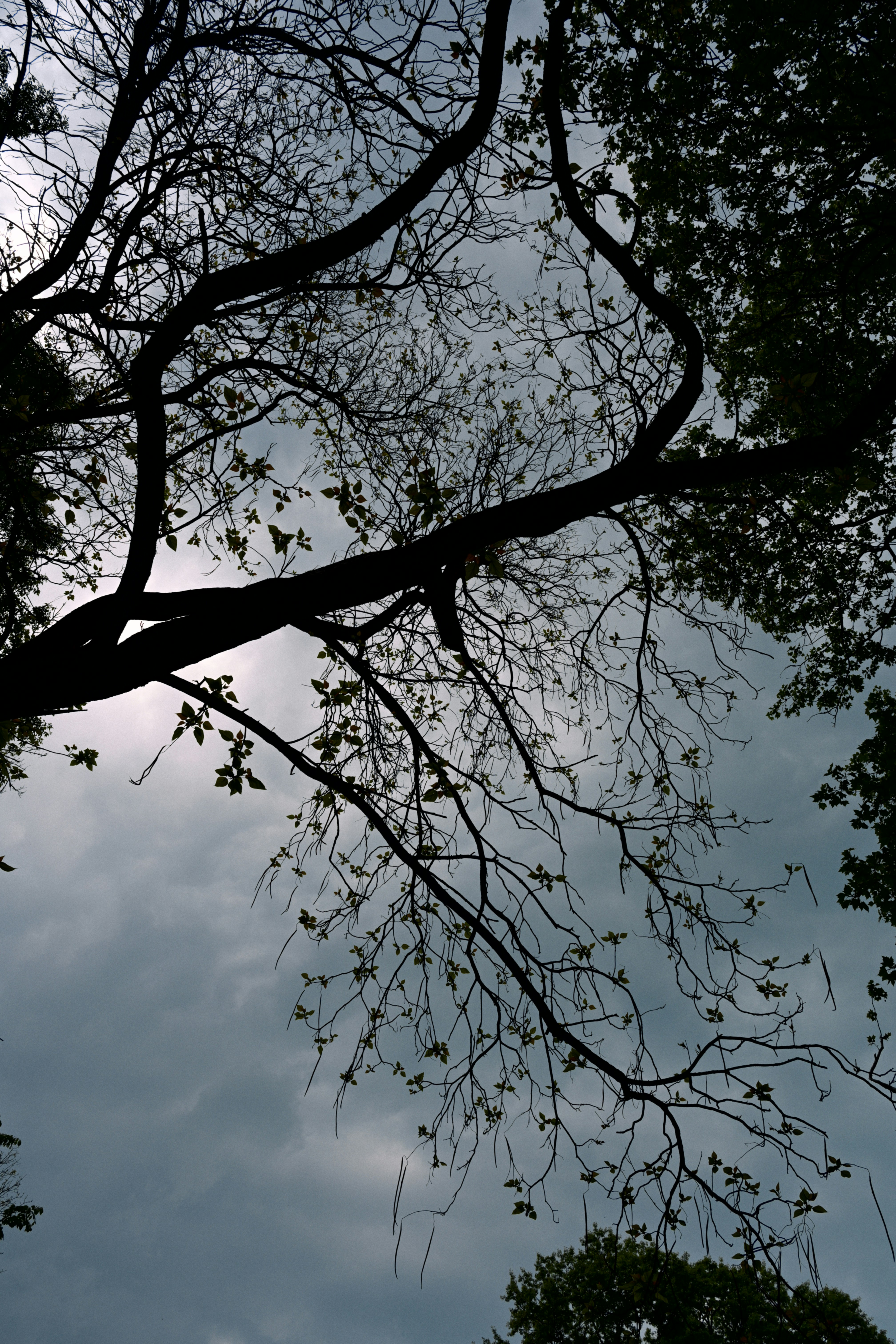 Photo by yi2026