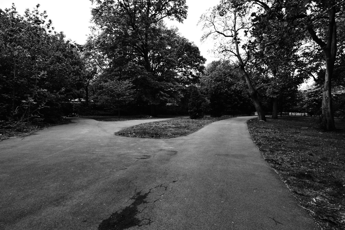 Fork in a paved path through trees, representing the choice between directed and misdirected effort