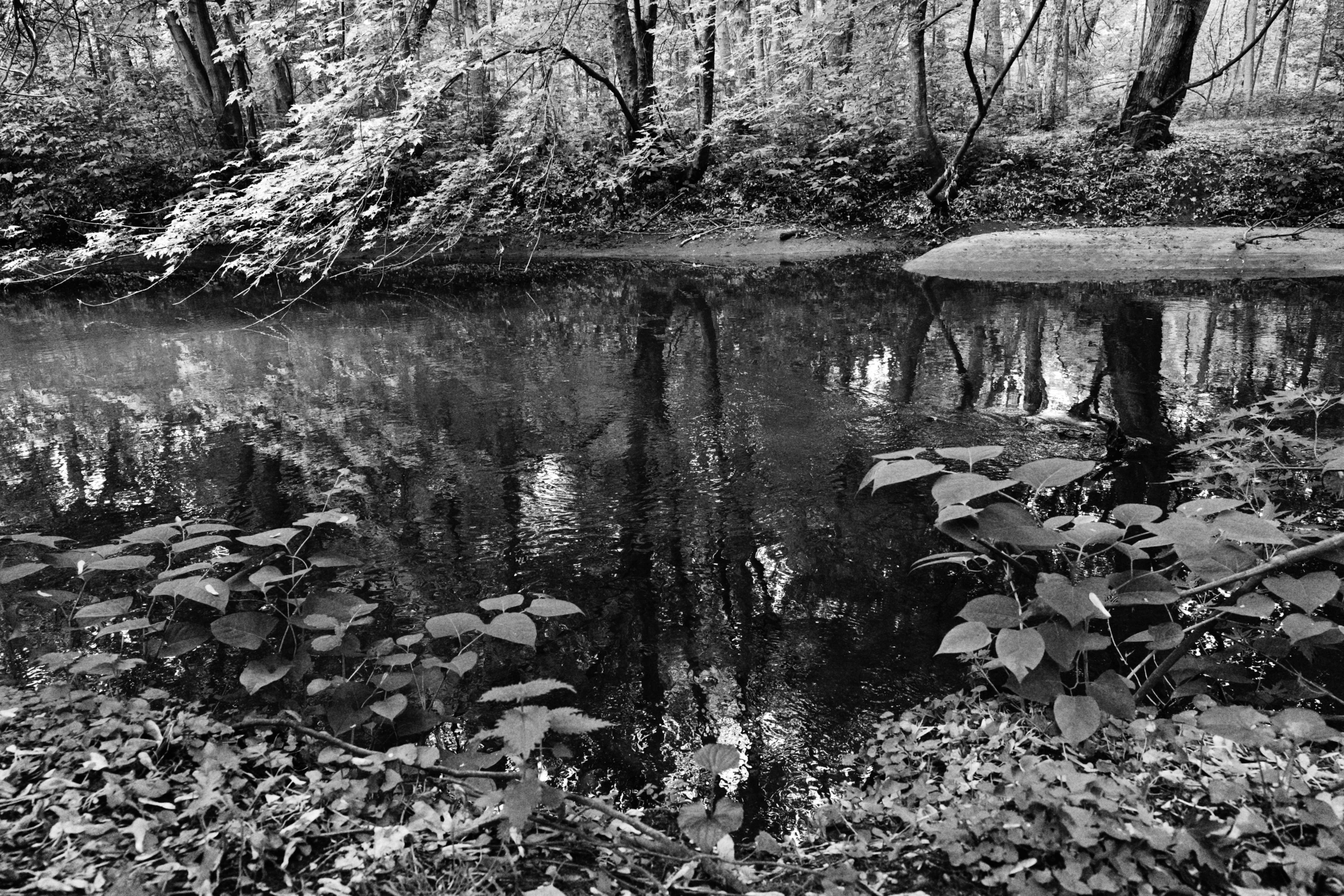 Photo by yi2026