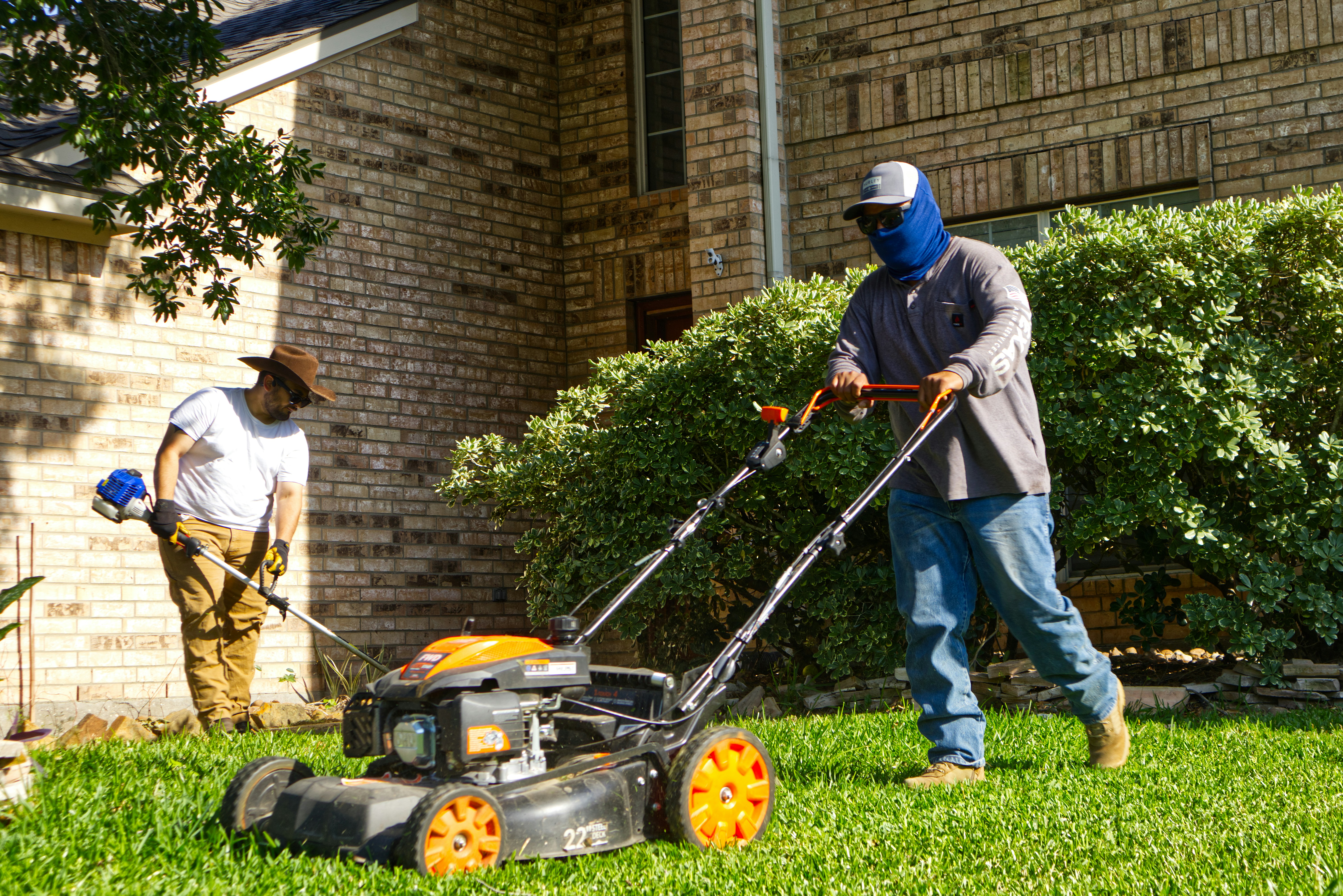 Lawn Mowing