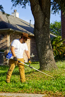 Man trimming weeds around a tree in a sunny yard