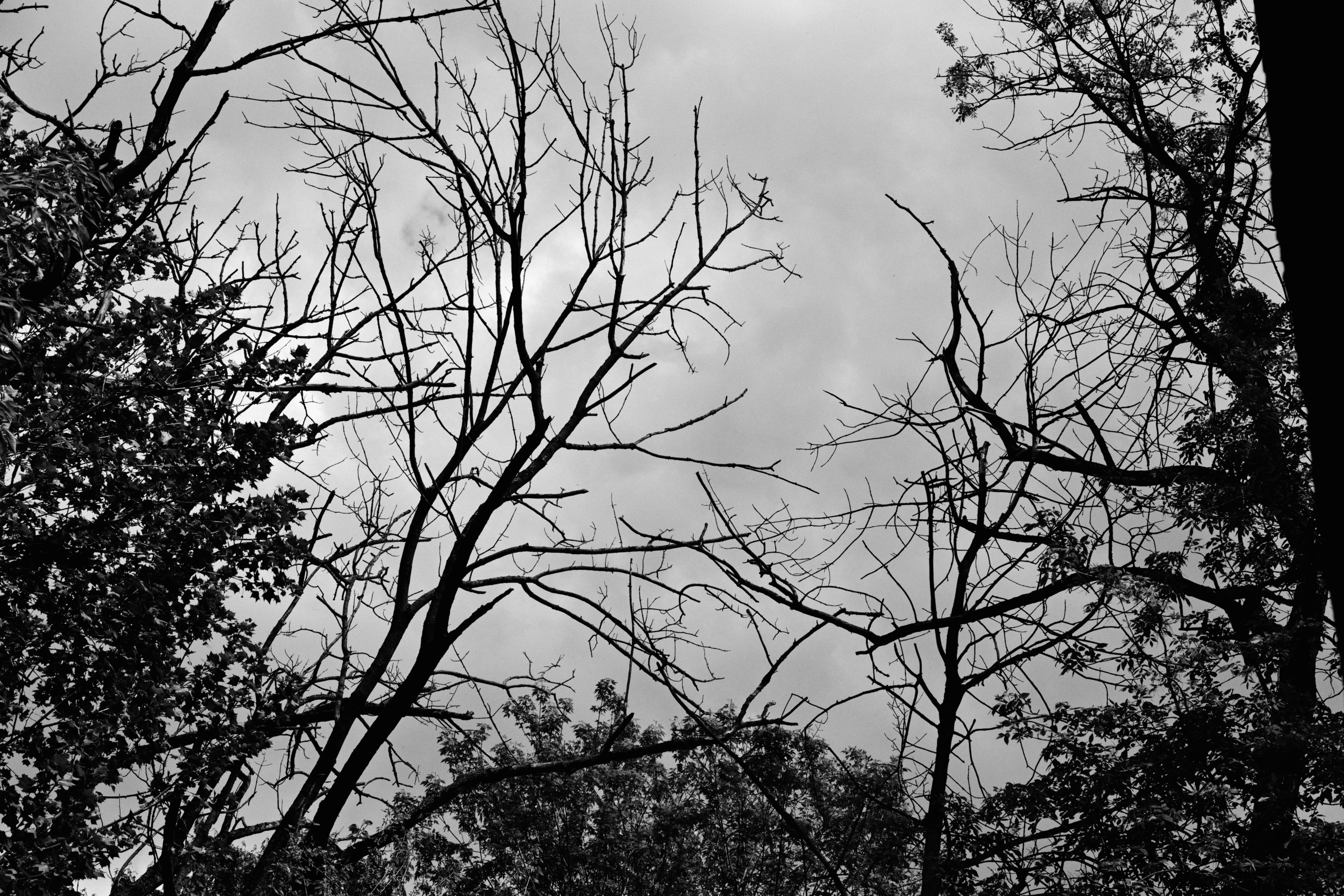 Photo by yi2026