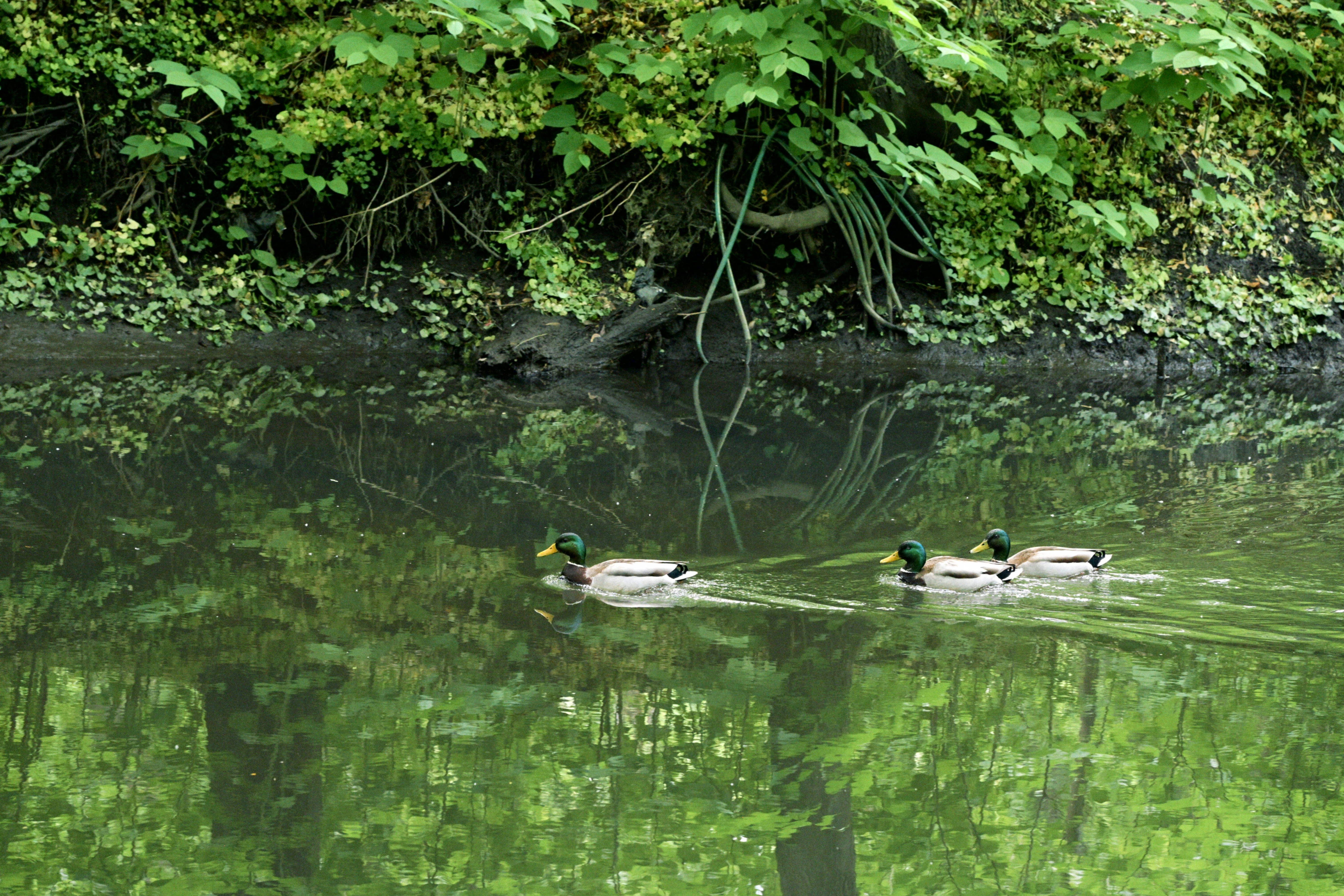 Photo by yi2026