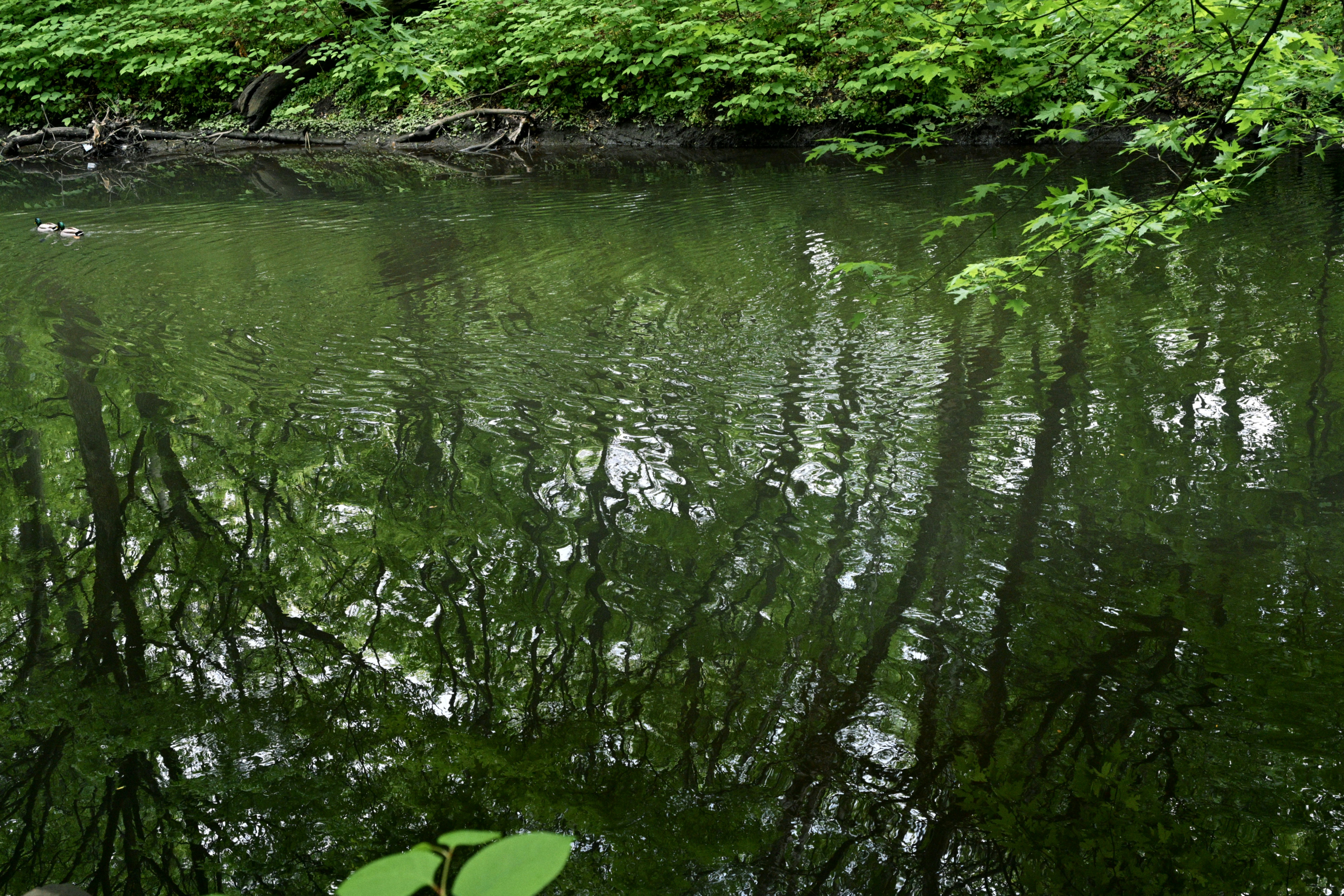 Photo by yi2026