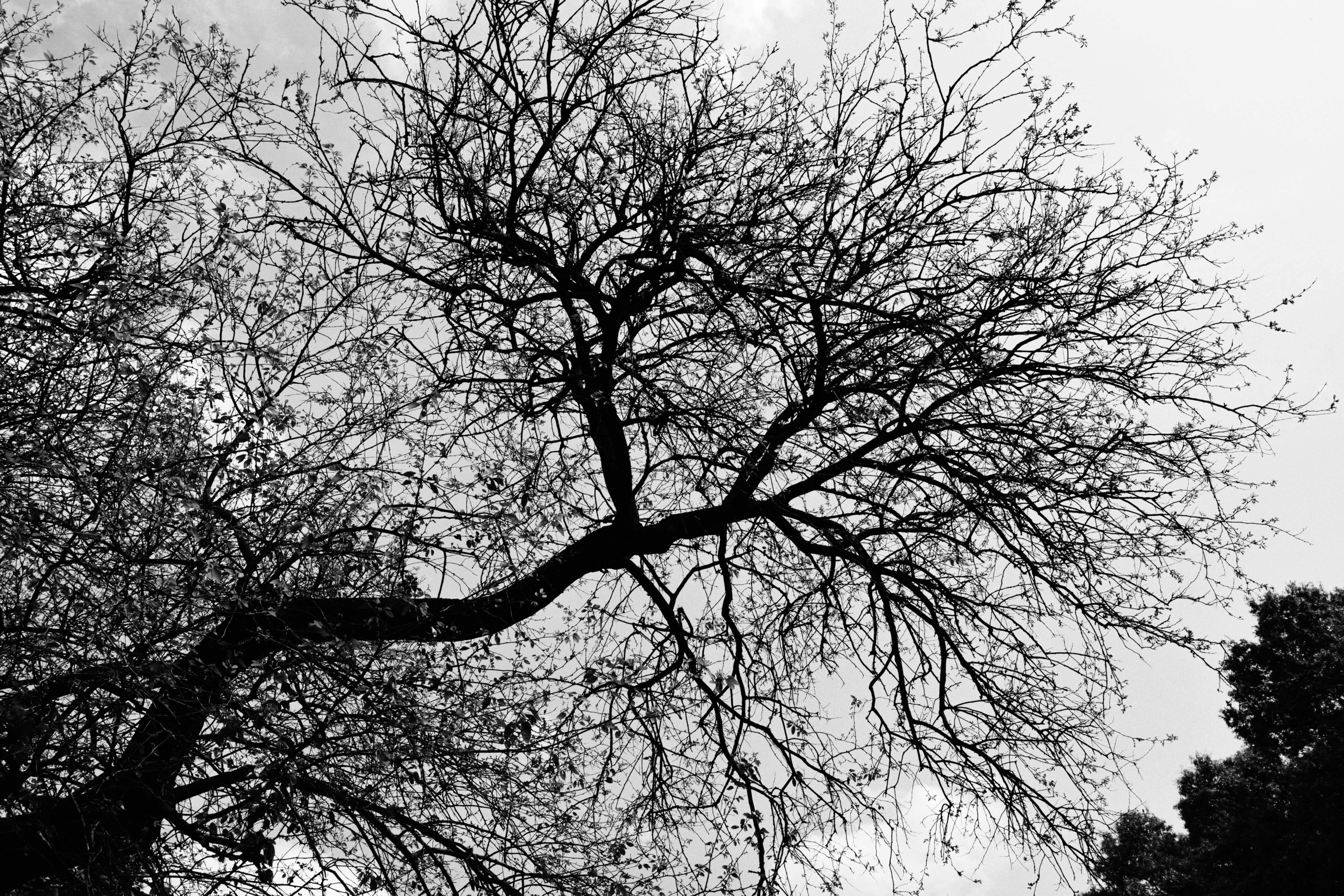 Photo by yi2026