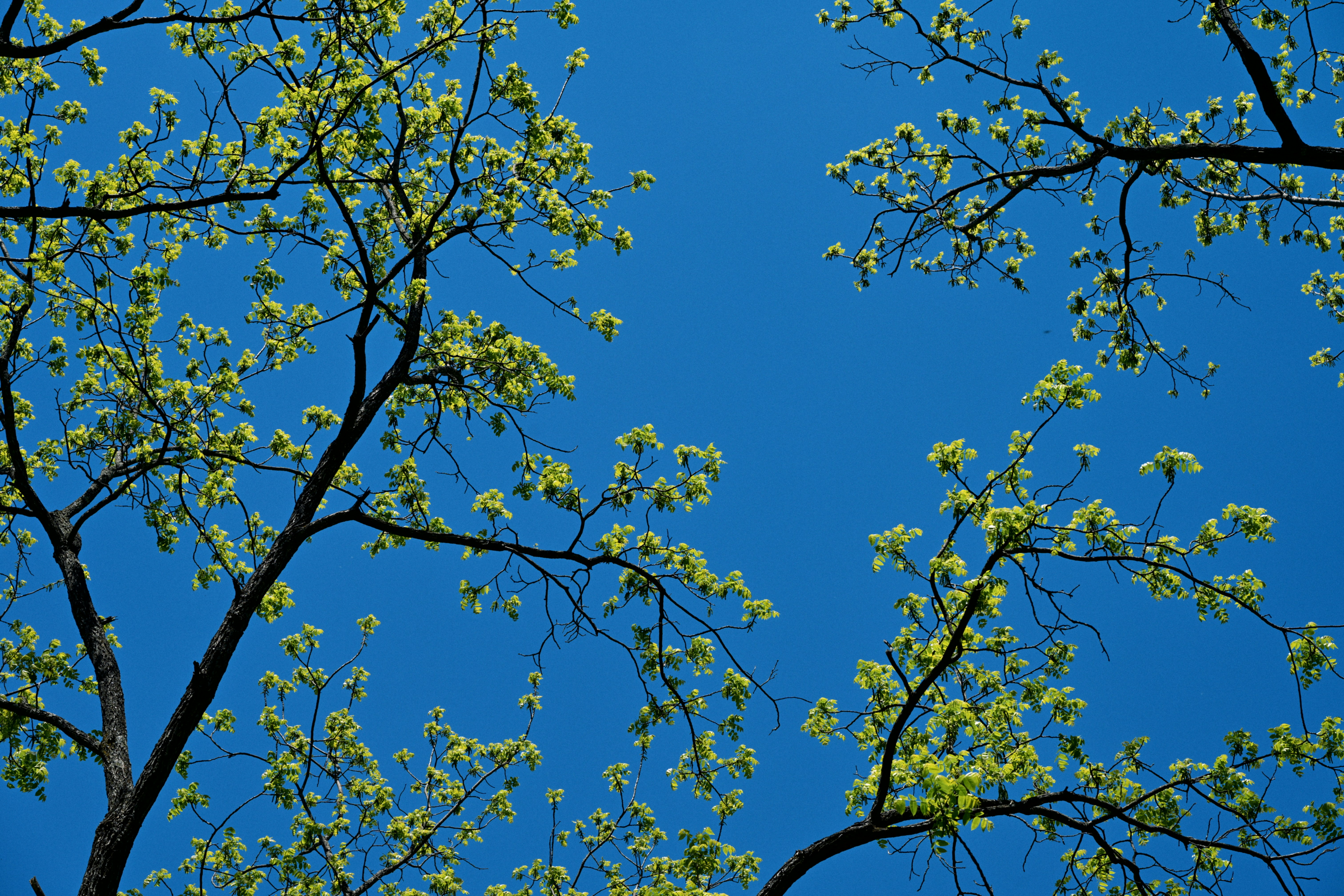 Photo by yi2026