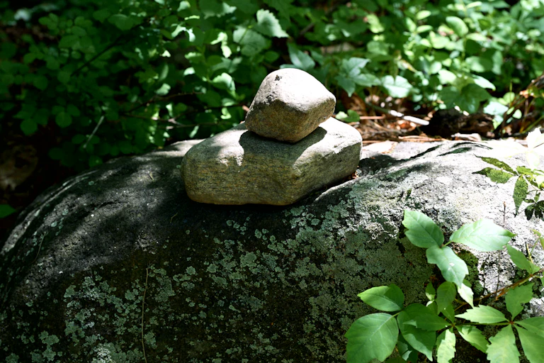 Scientists Say Mindfulness Can Improve Athletic Performance
