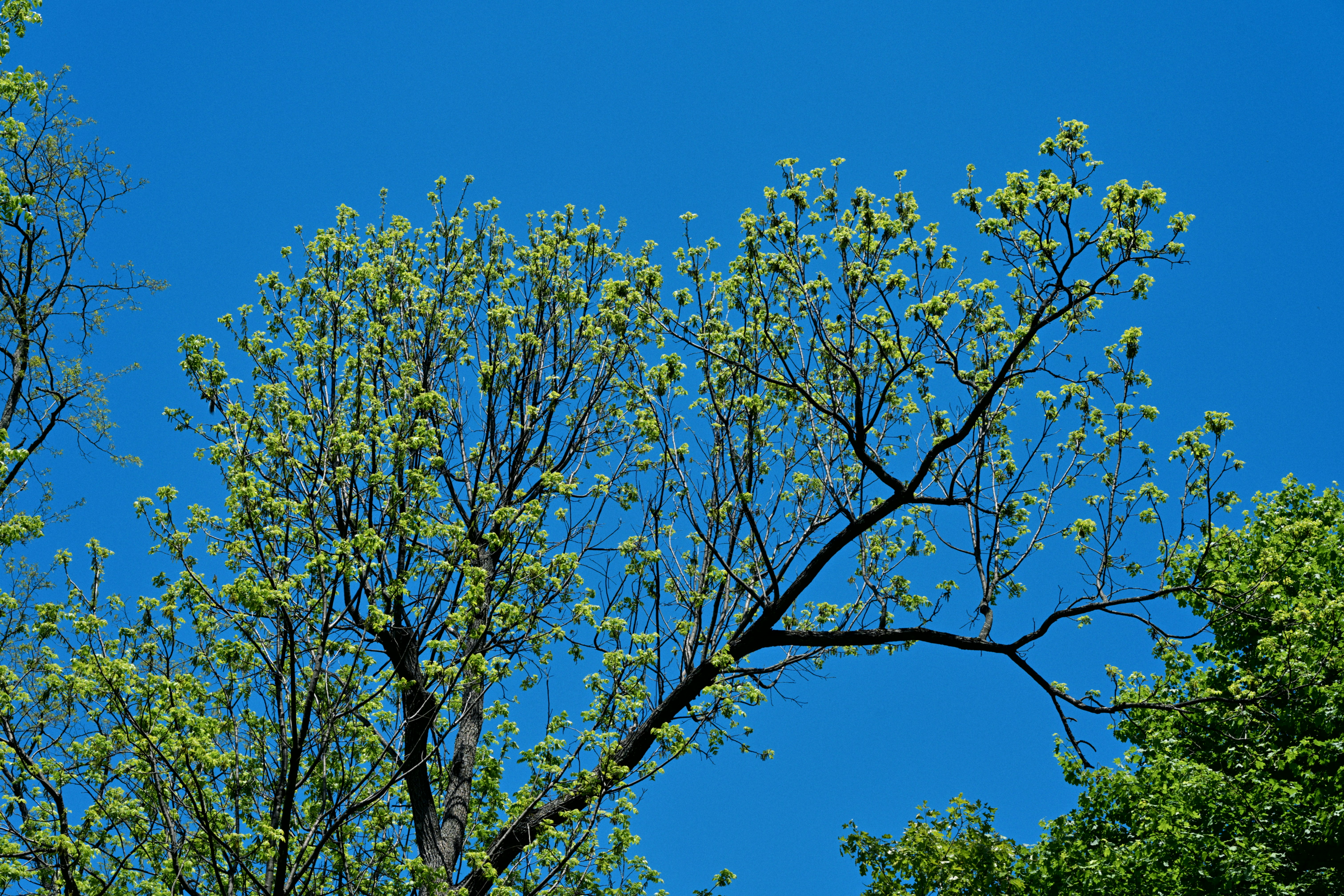 Photo by yi2026