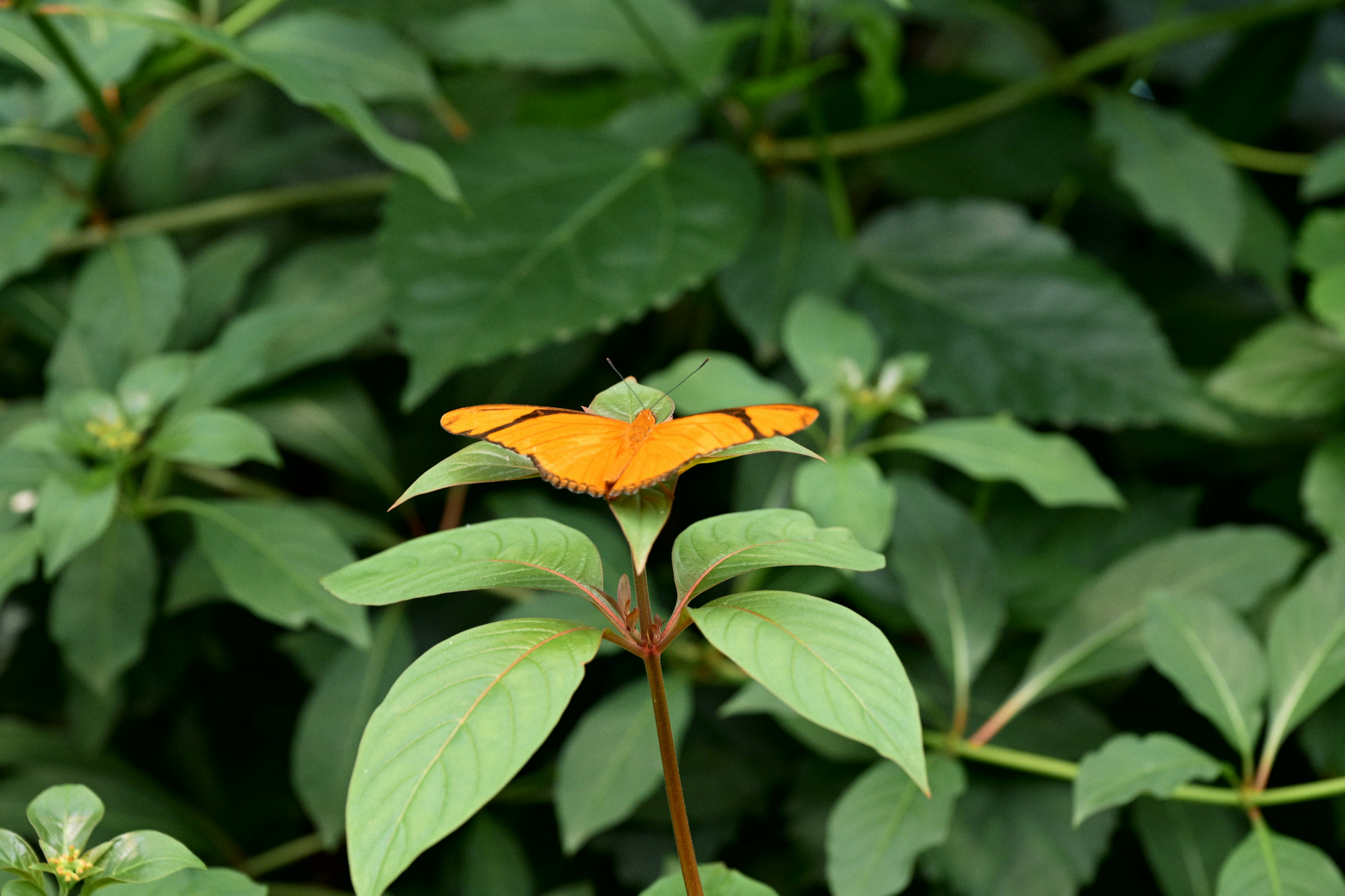 Photo by yi2026