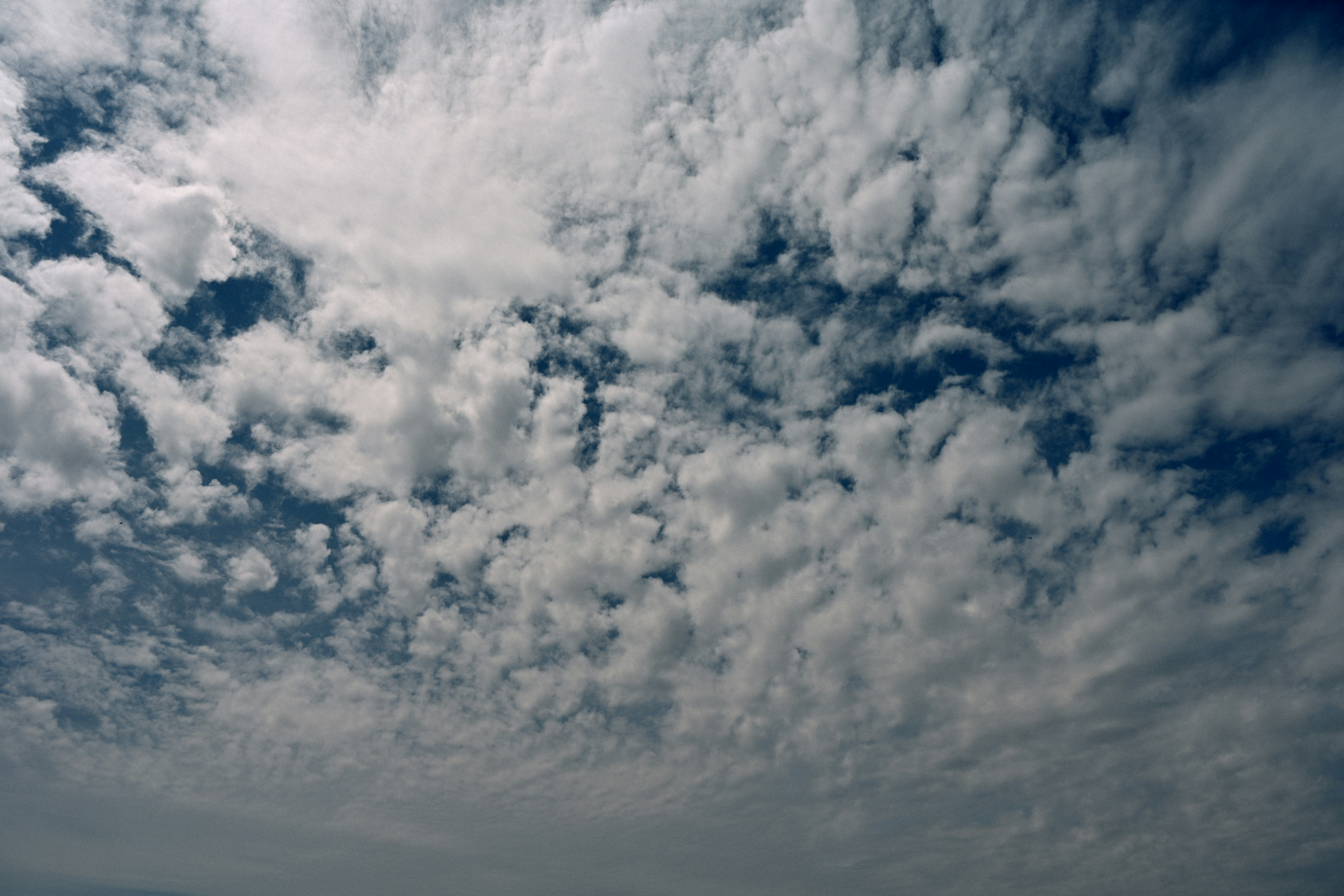 Photo by yi2026