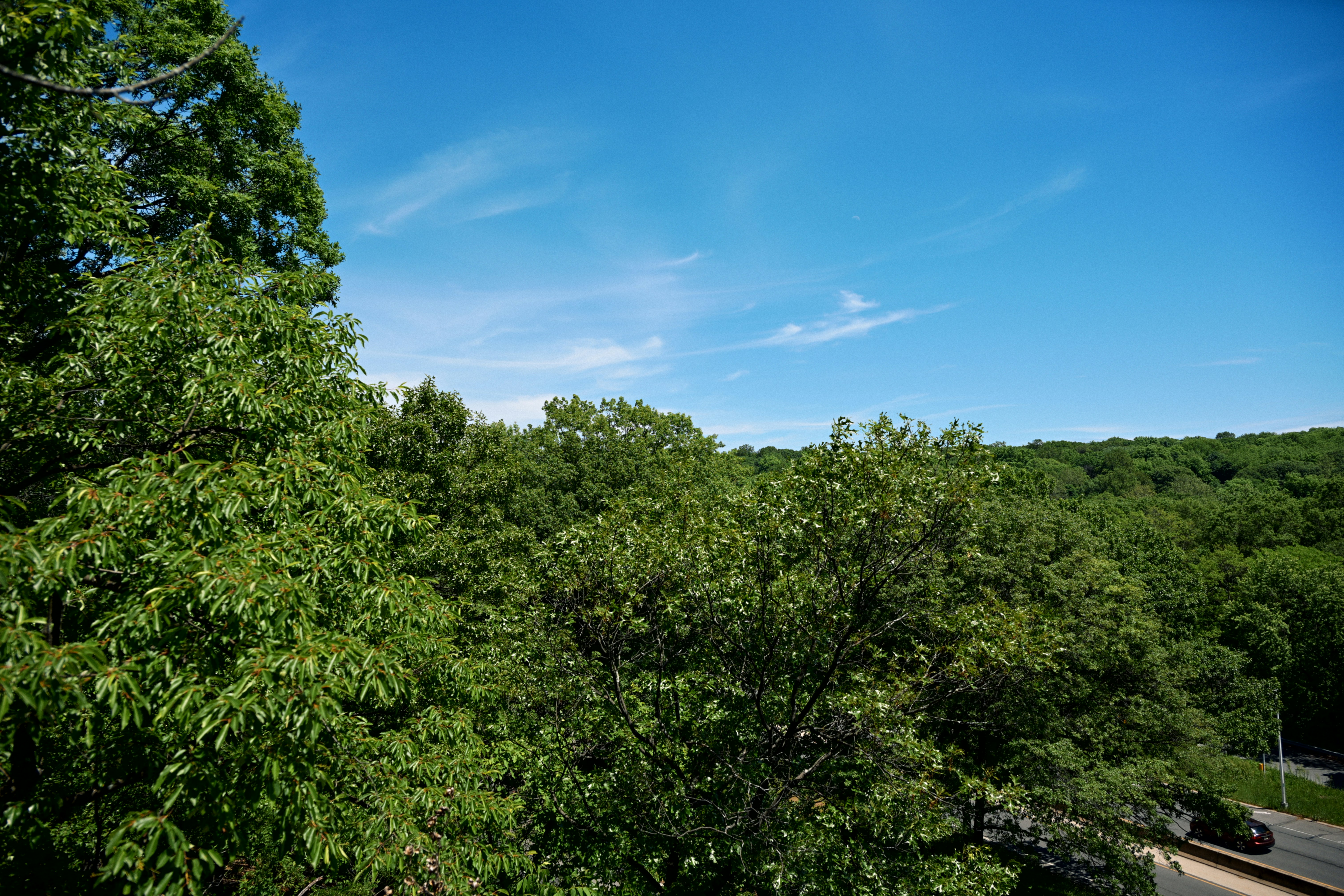 Forêt de l'Hautil — Triel-sur-Seine