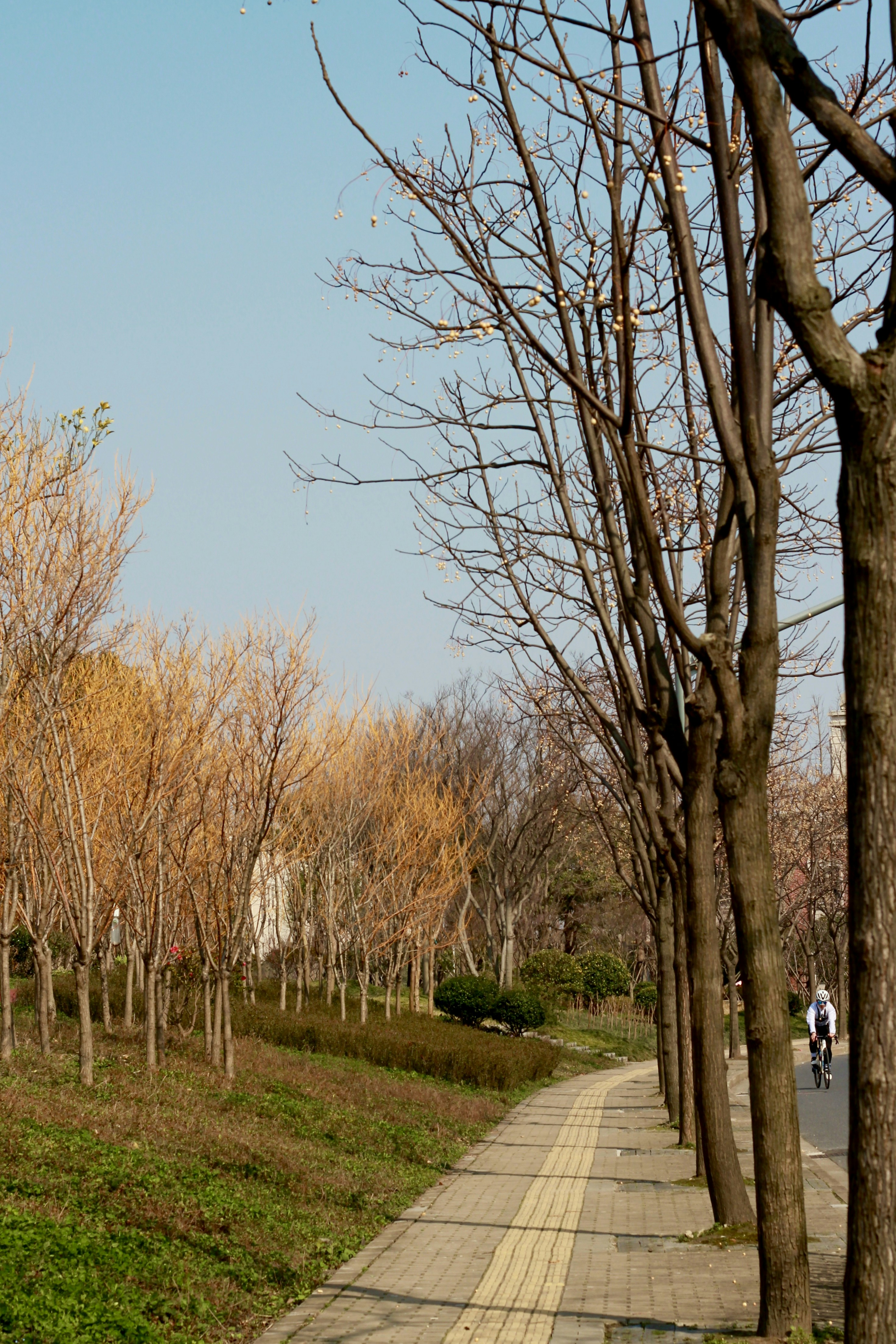 Photo by jindujiong