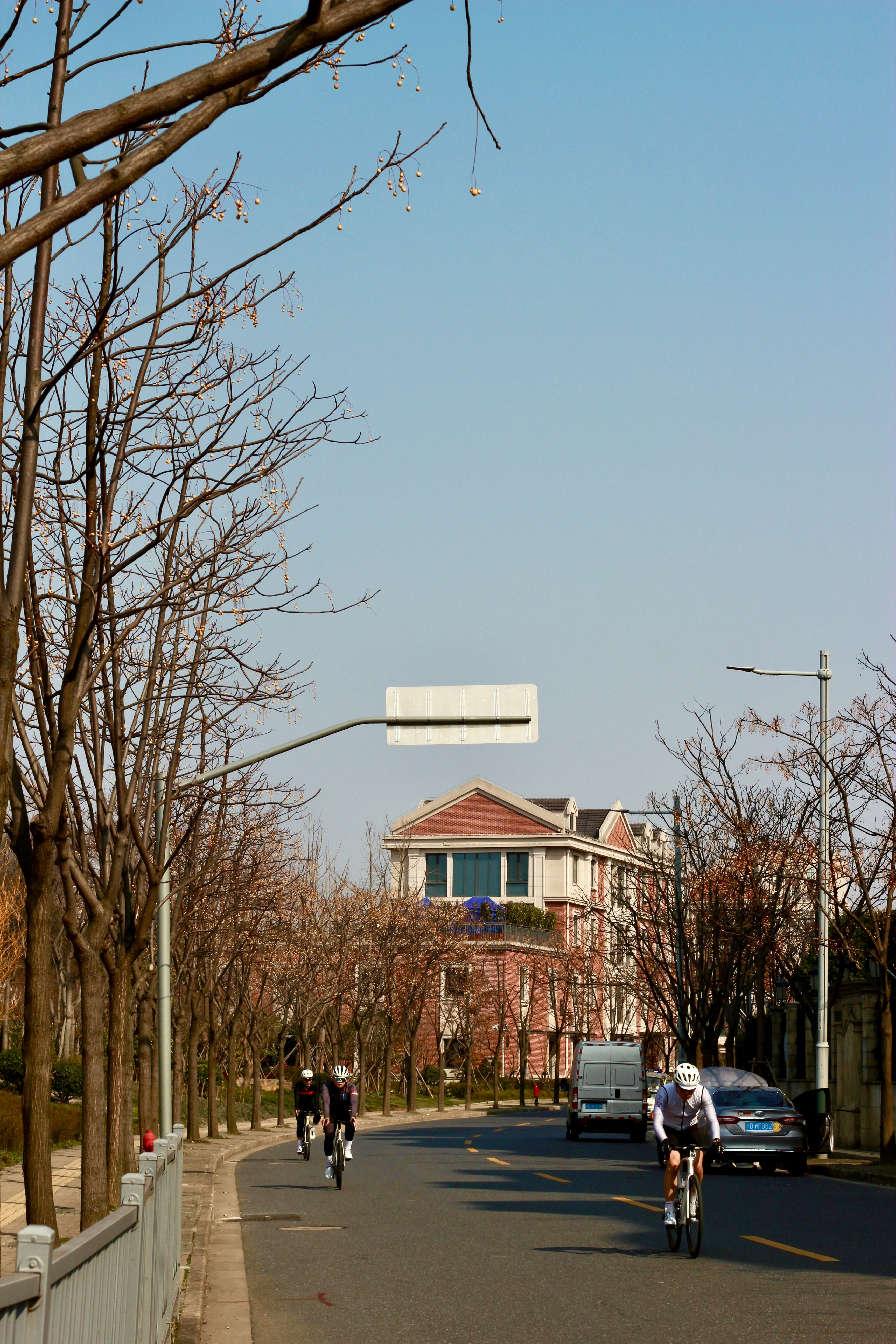 Road with cyclists, bare trees, and a building