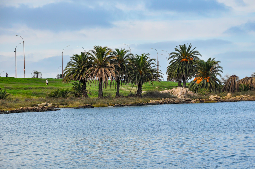 8-Day Uruguay Family Travel Itinerary & Classic Route