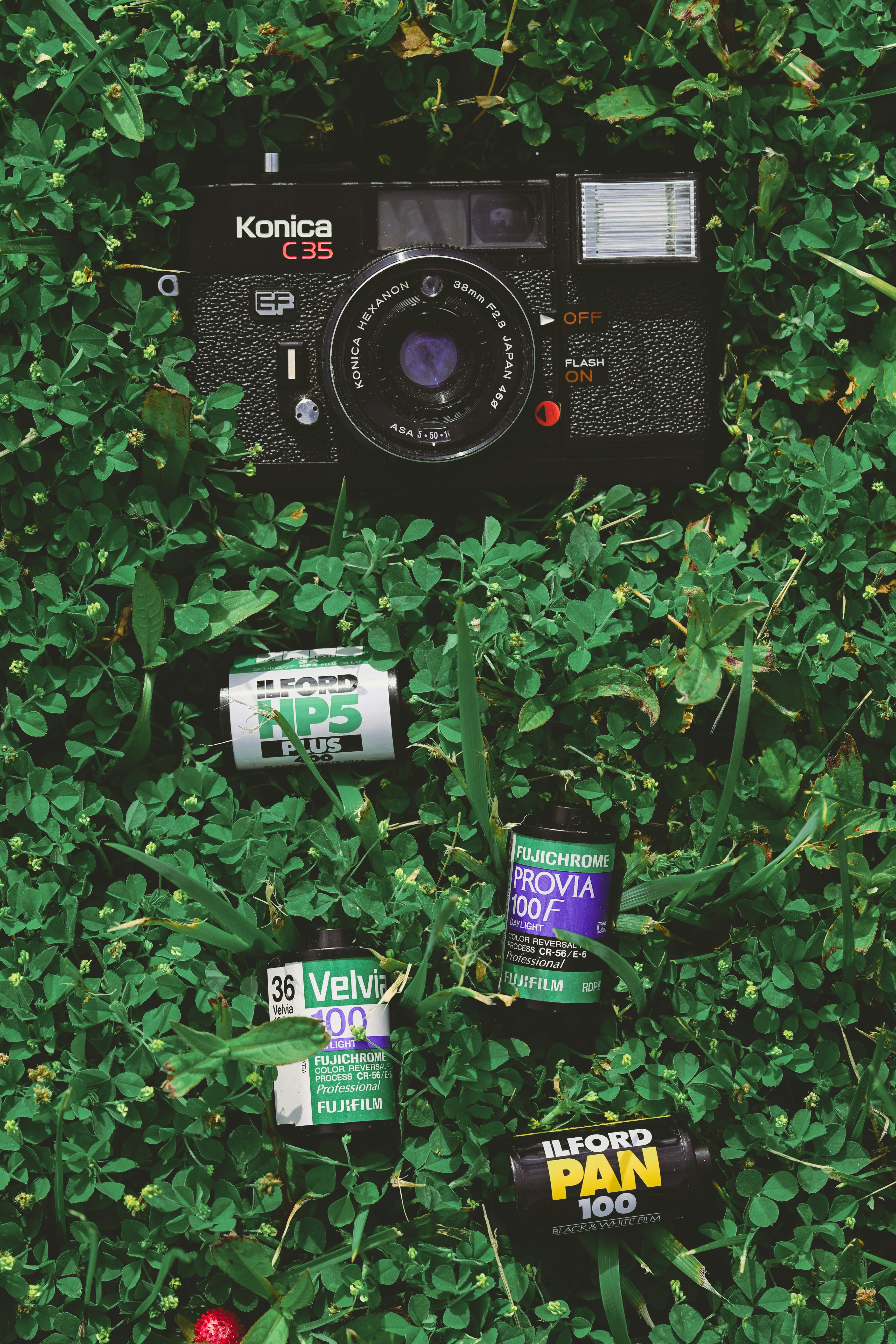 Vintage konica c35 camera and film rolls on green clover.