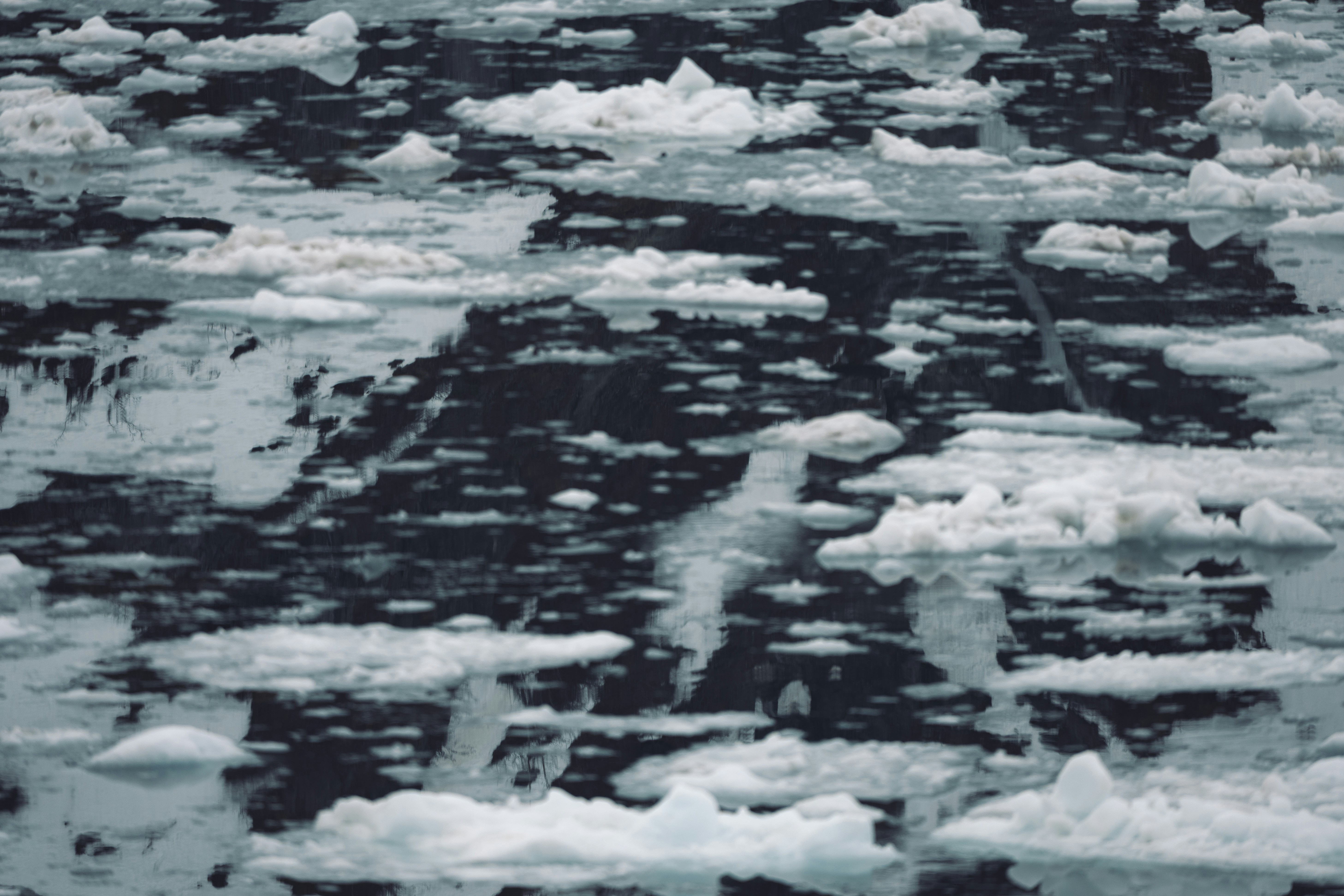 Photo by govizlora