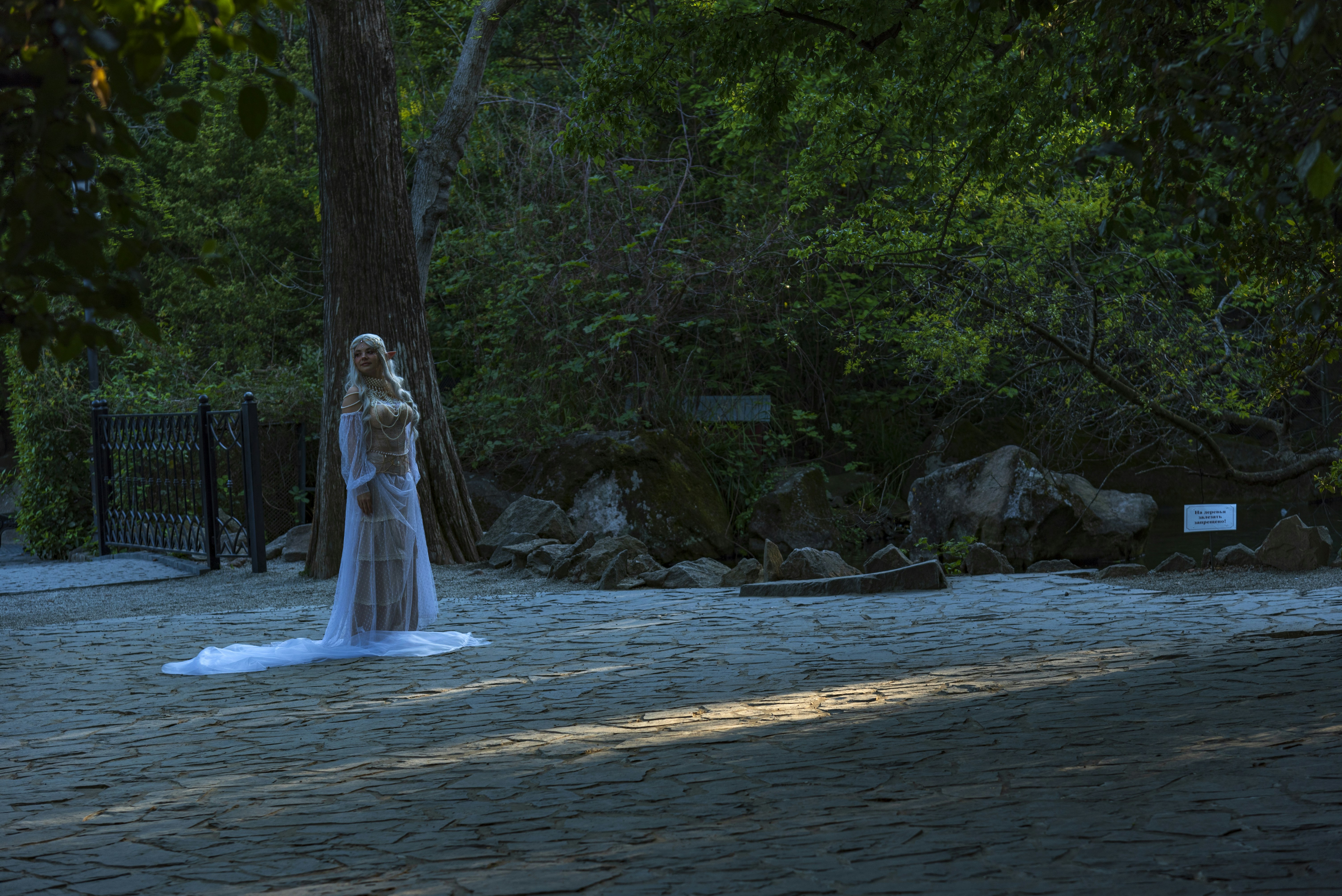 ethereal fantasy forest wedding, wallpaper, Unique Whimsical Wedding Venues: Creating Your Fairytale Day 6