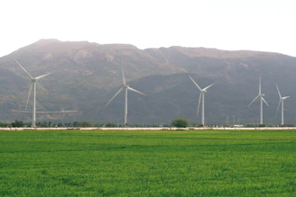 Five wind turbines stand in a green field before mountains
