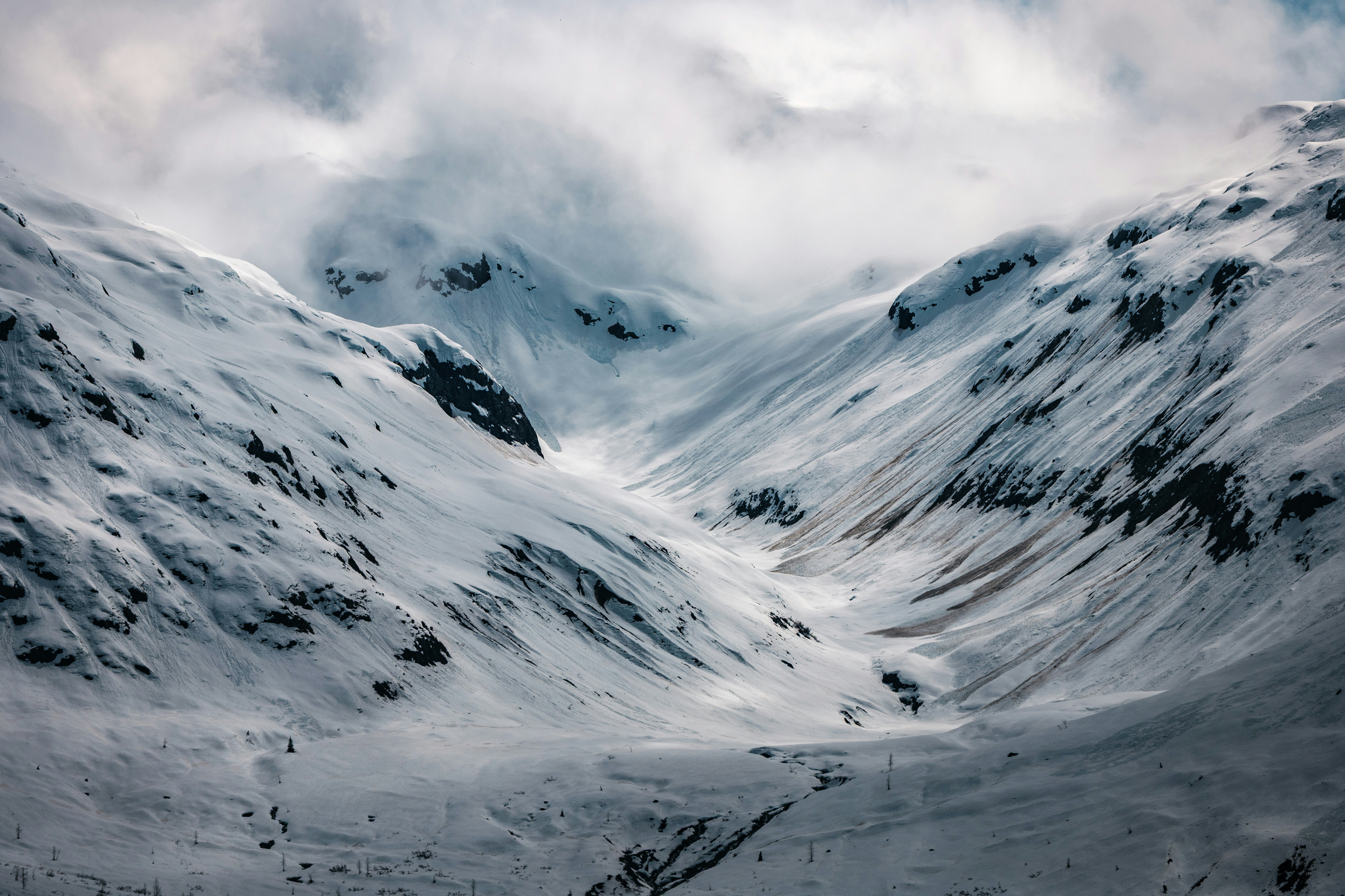 Photo by govizlora