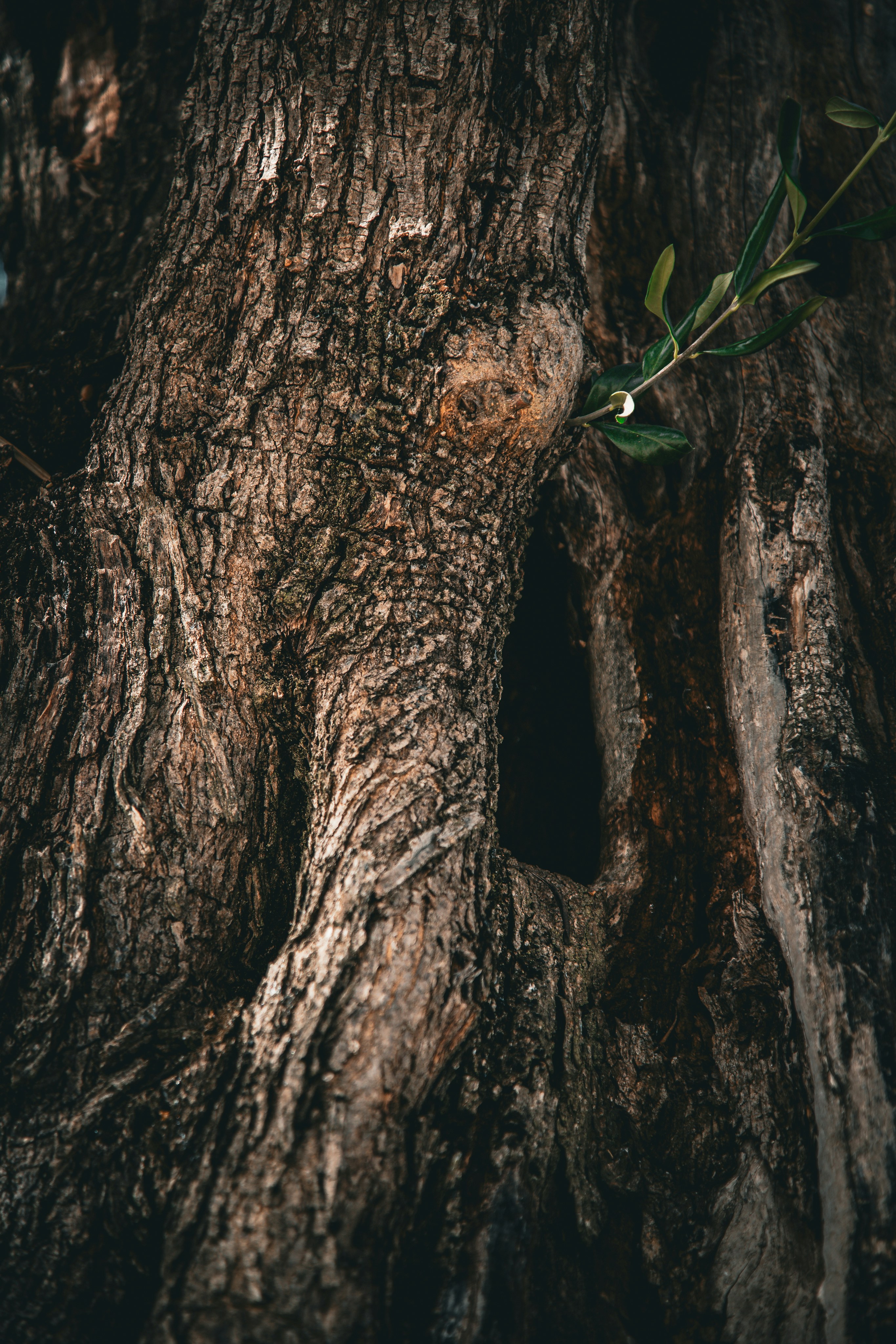Photo by hdbernd