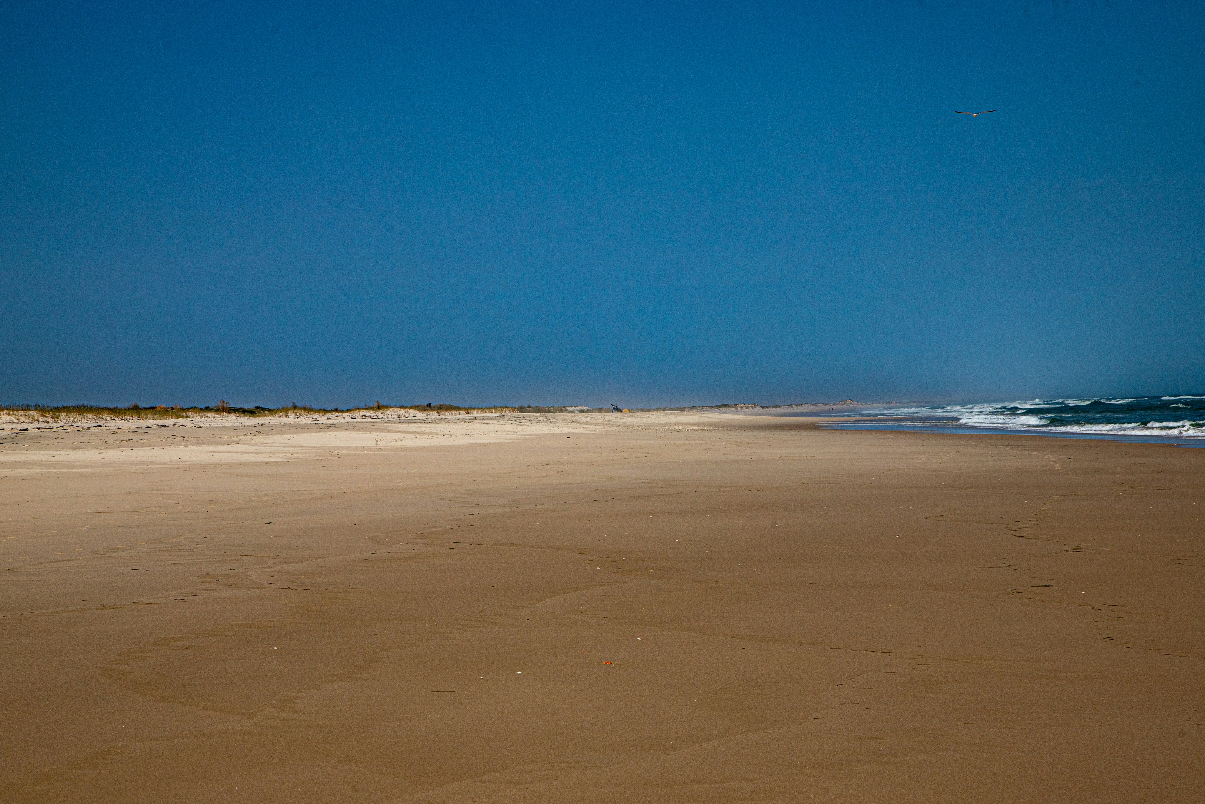 Photo by hdbernd