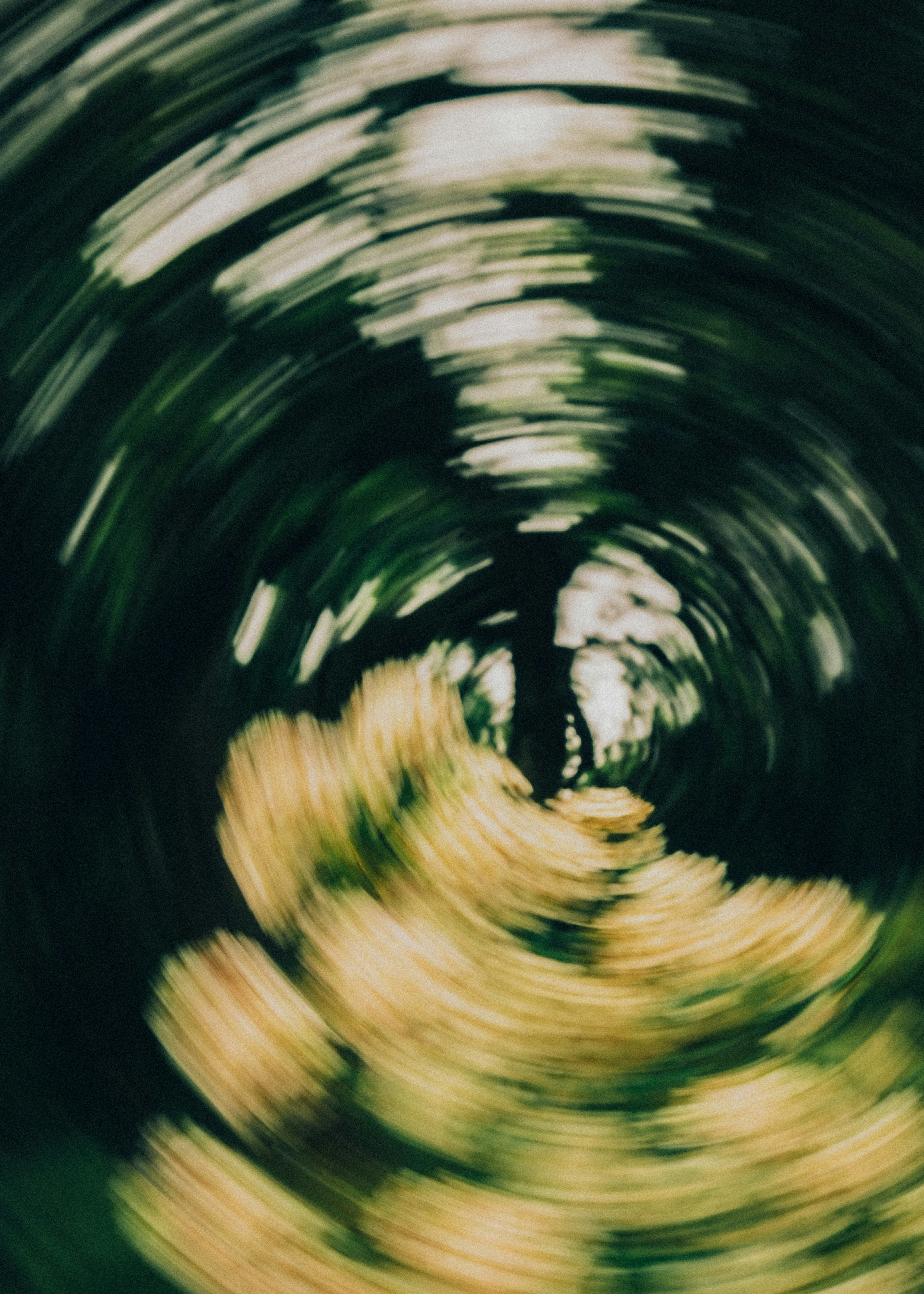 Abstract swirling green and yellow foliage with motion blur.
