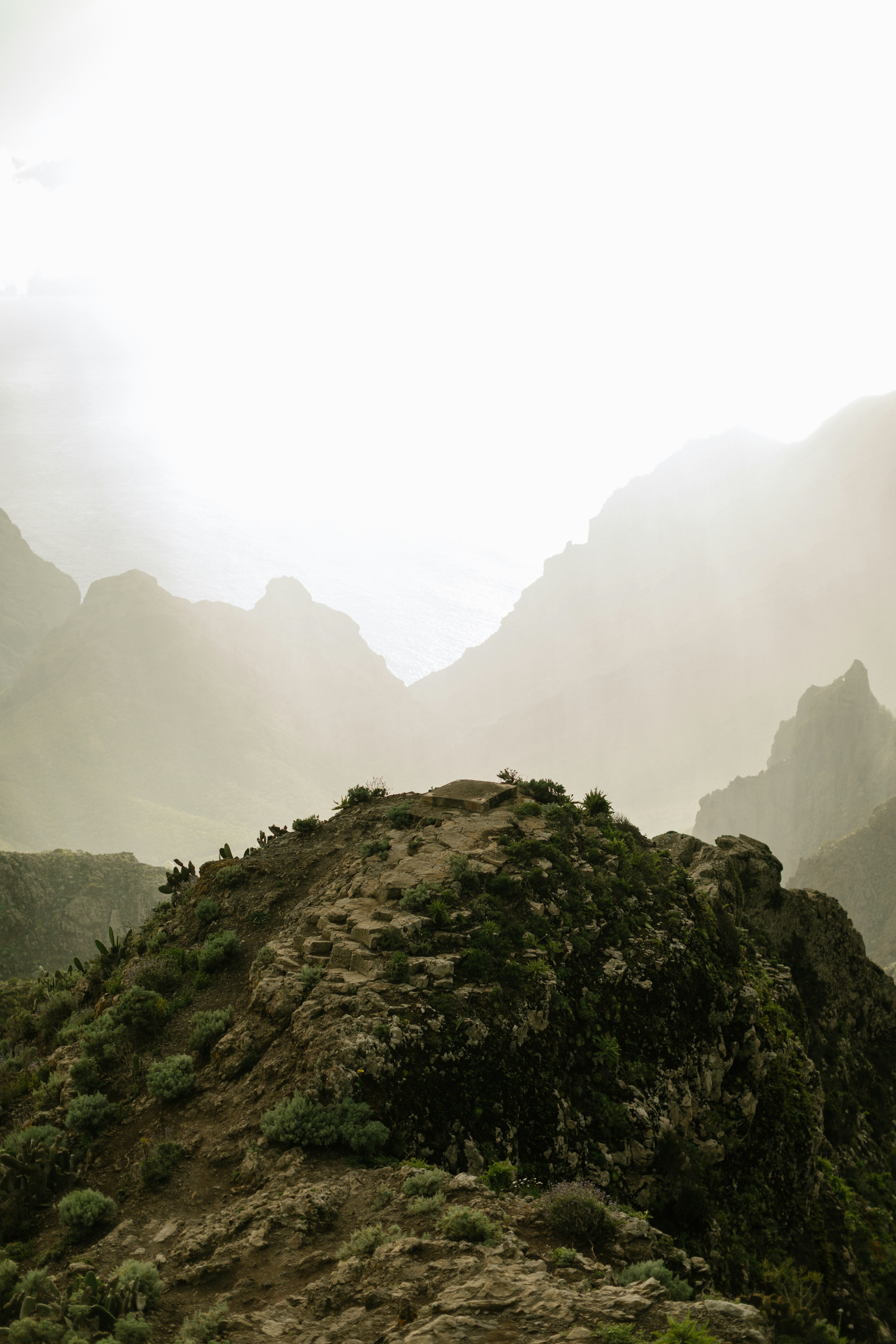 Photo by olaszkolda