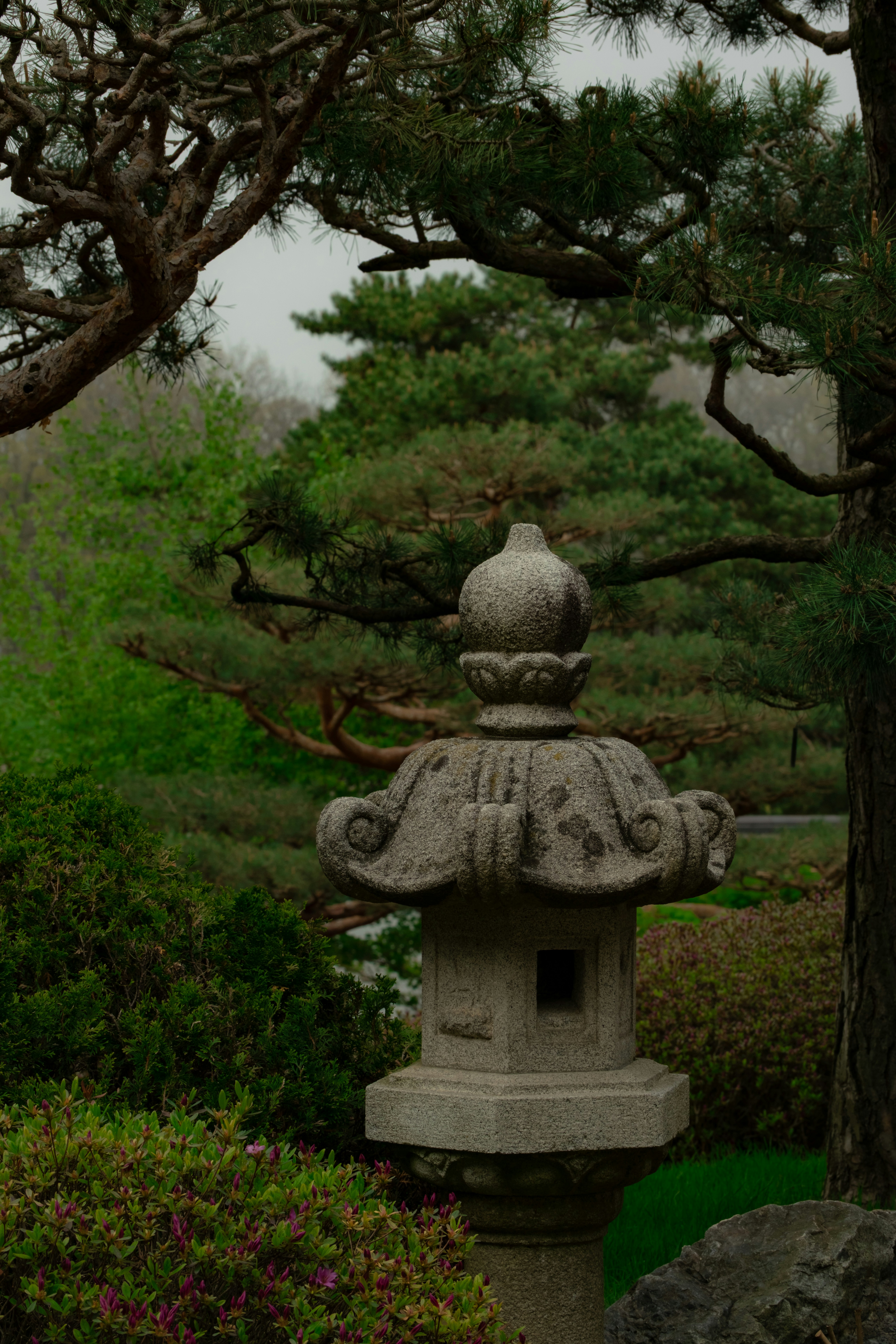 Photo by maraboli27
