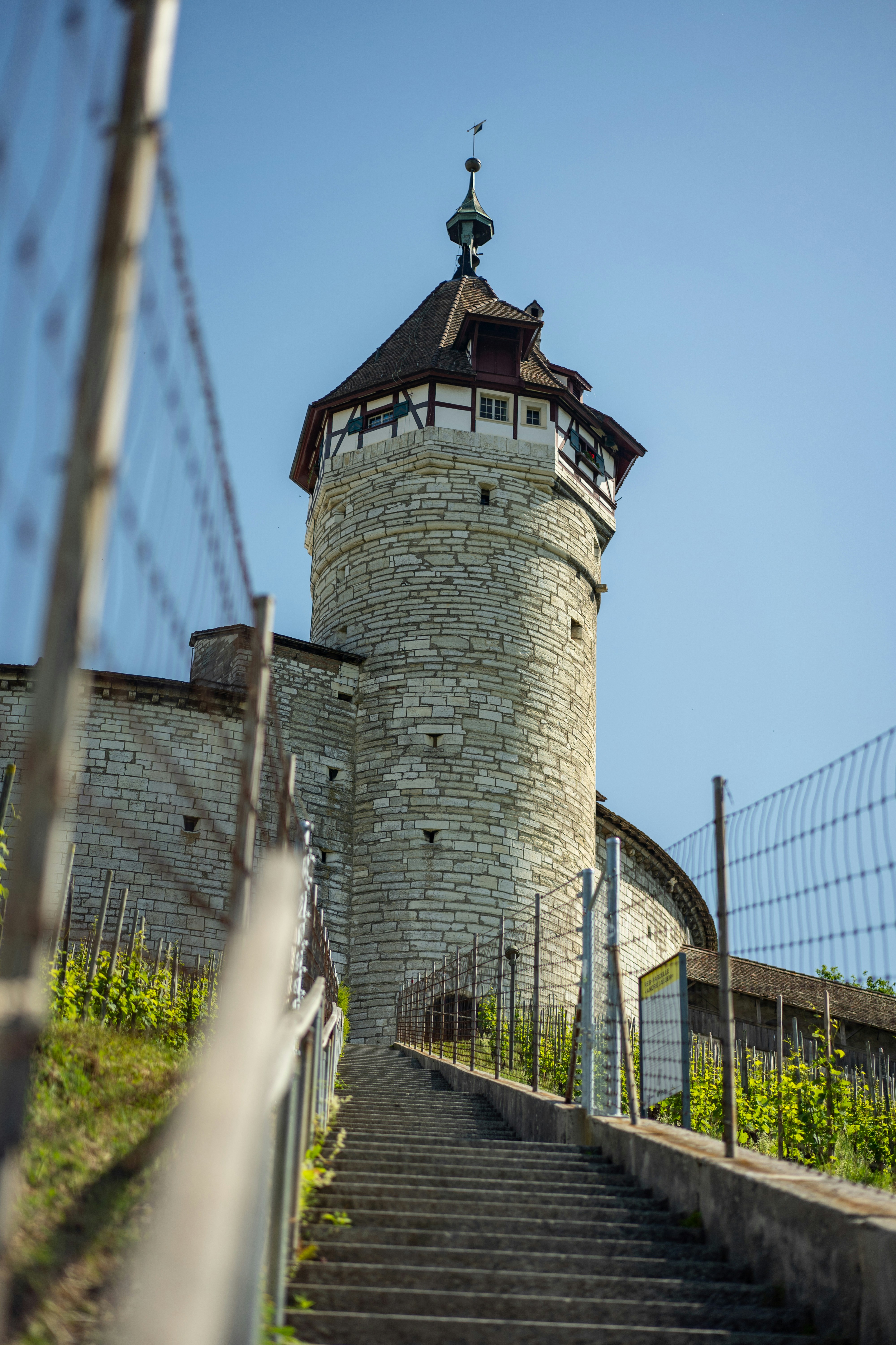 Une tour historique en pierre s’élève au-dessus d’un escalier et de vignobles verts.