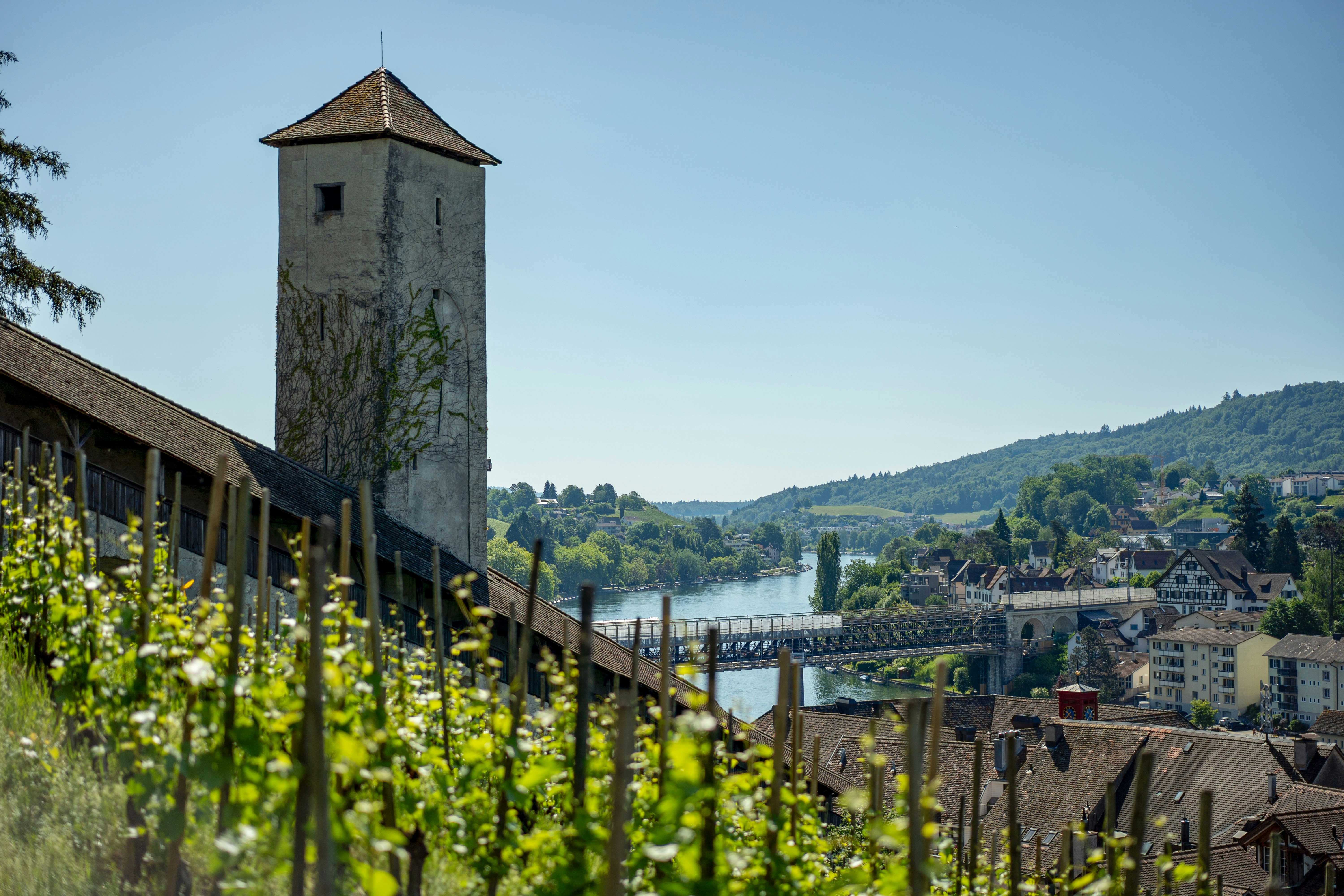 Une tour de pierre surplombe un vignoble, une rivière, un pont et une ville.