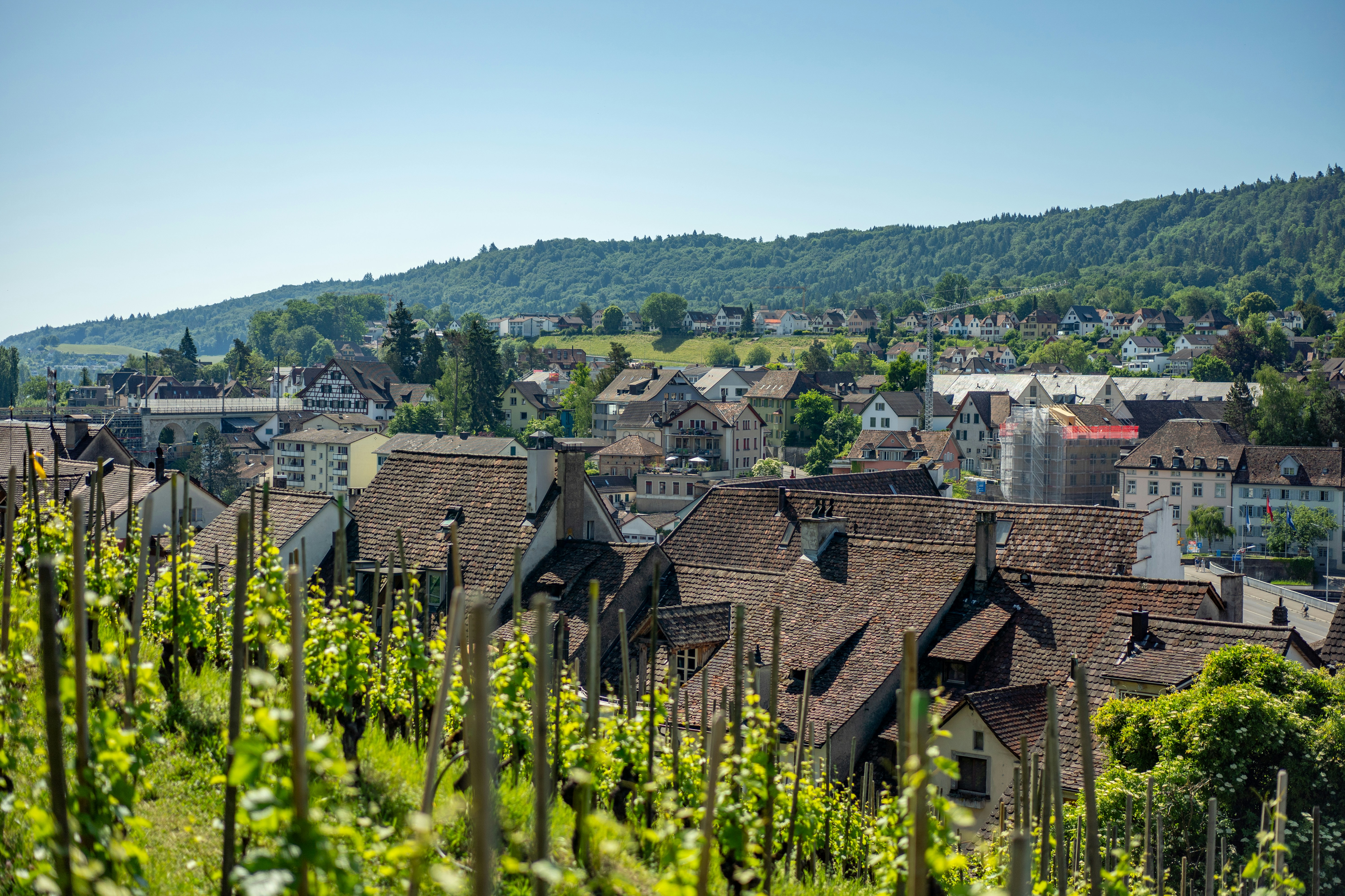 Des vignes vertes surplombant un village aux toits traditionnels et aux collines.