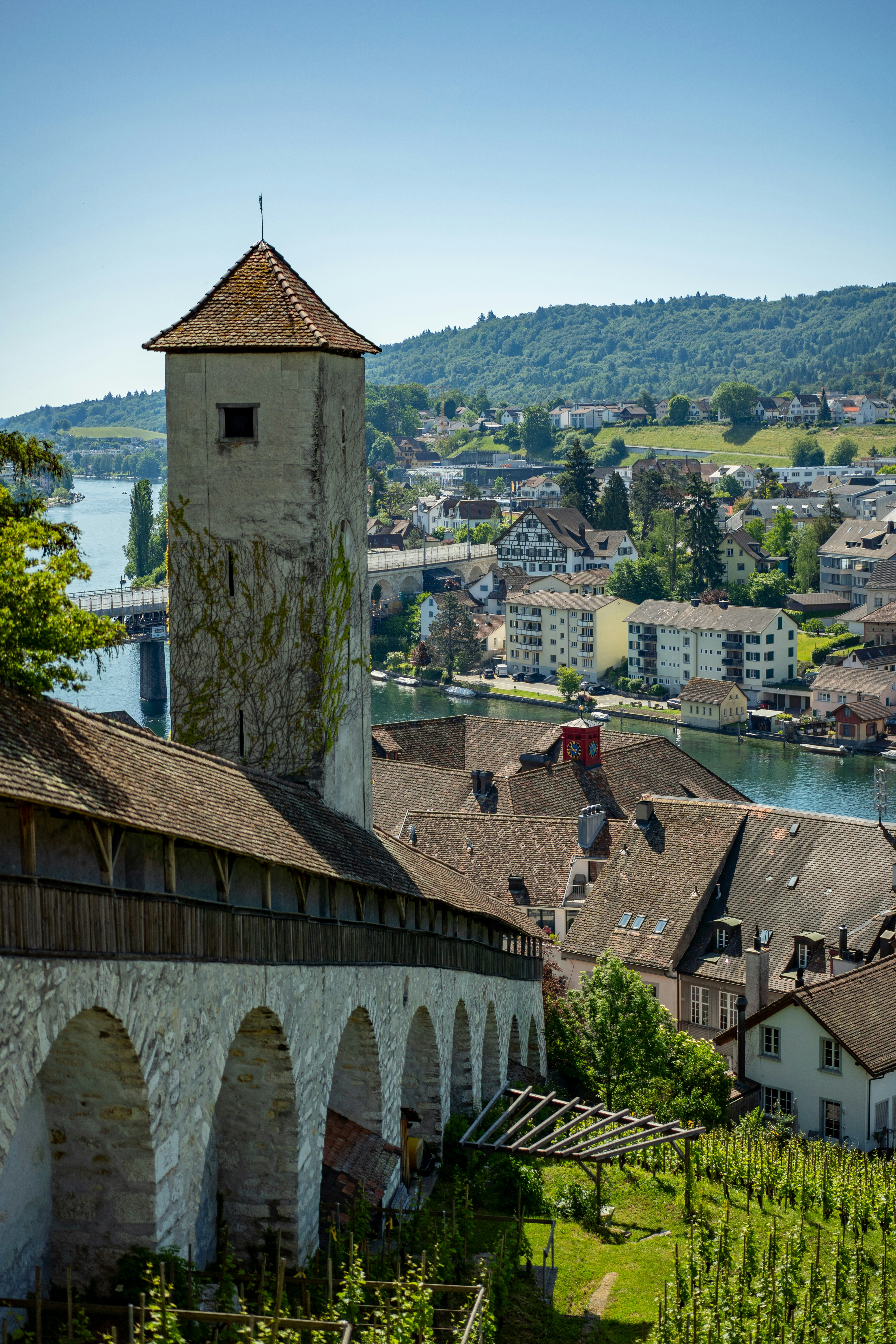 Une ancienne tour de pierre surplombant une ville fluviale et un vignoble.