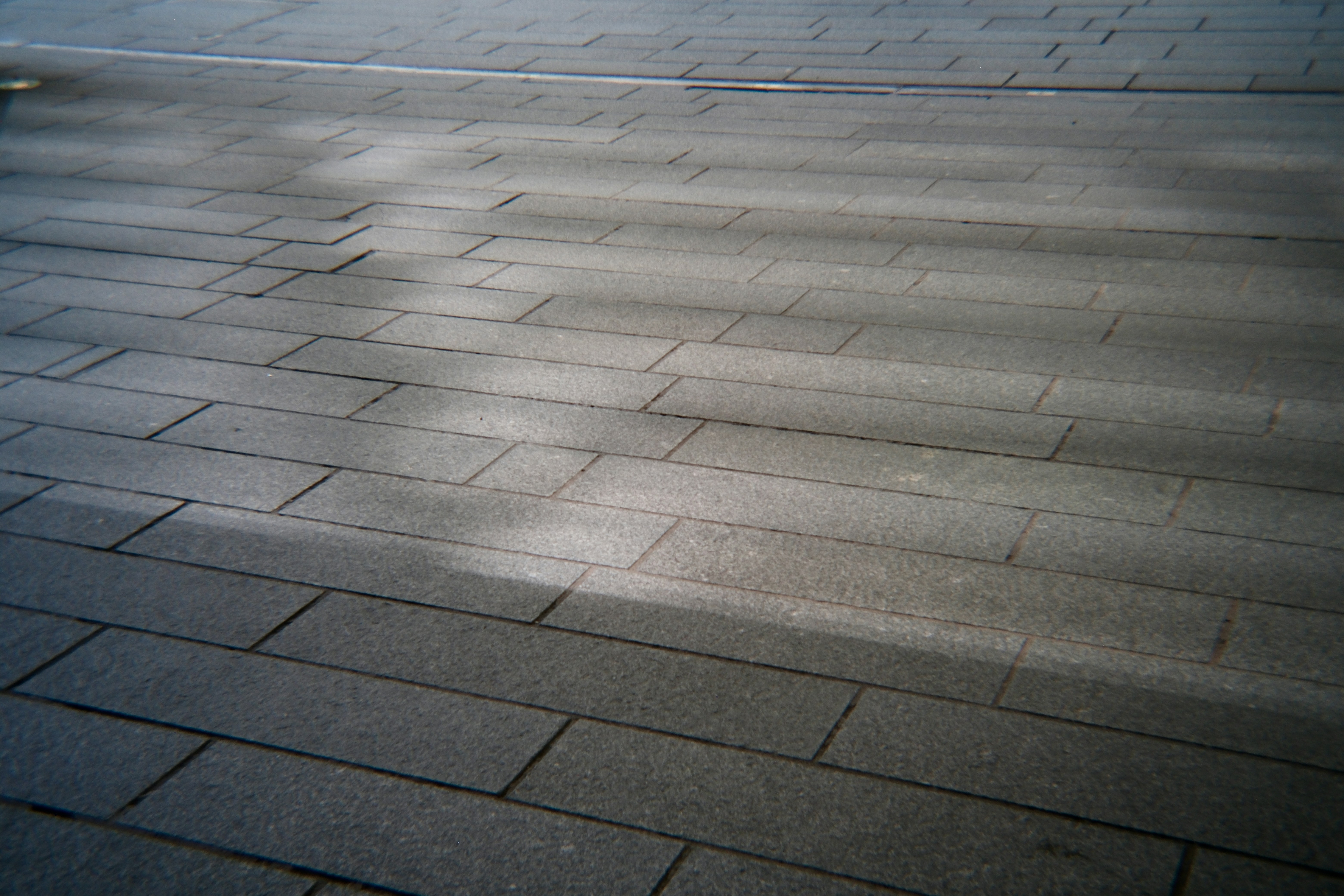 Photo by sisacreative