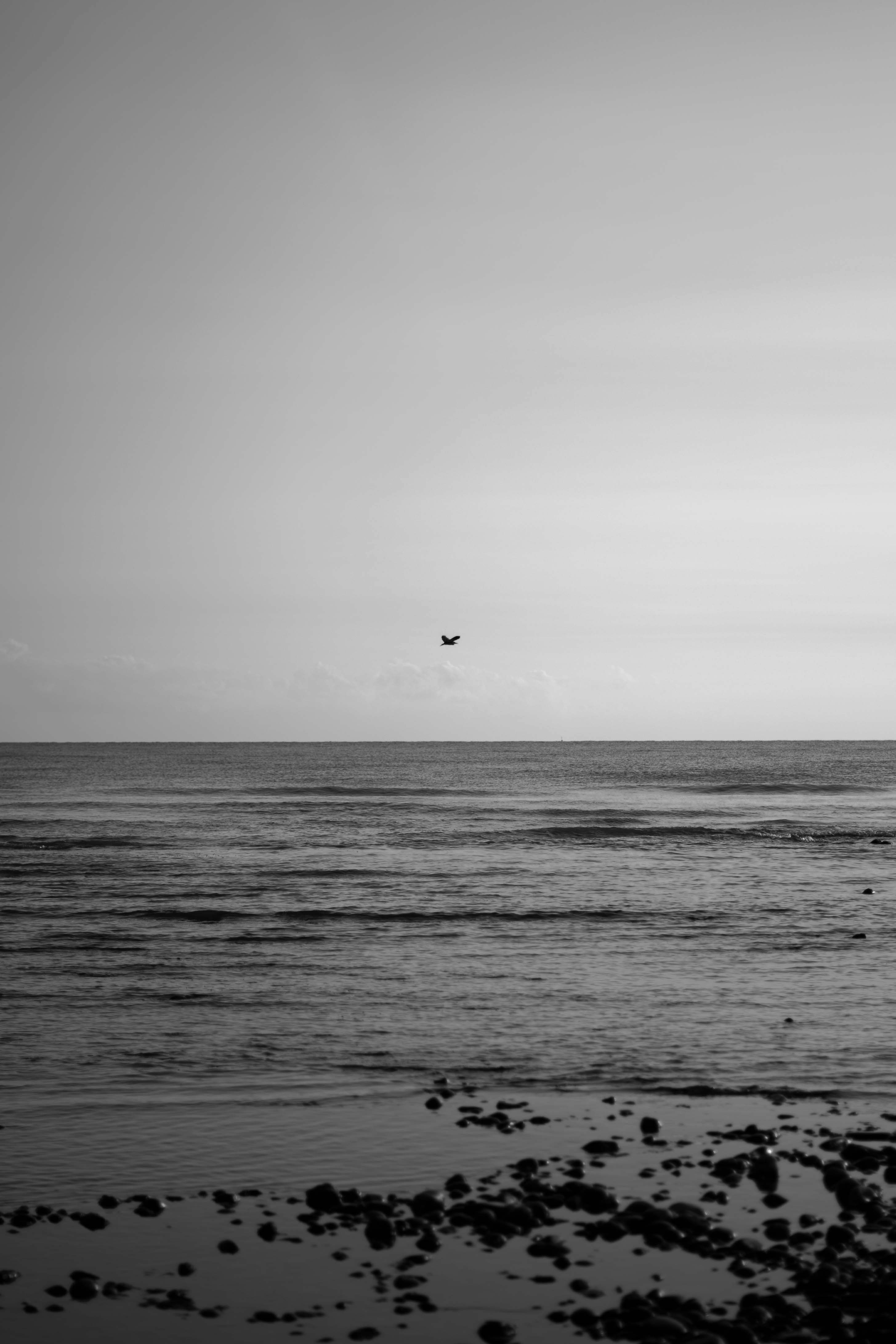 Photo by mrcharkhgard