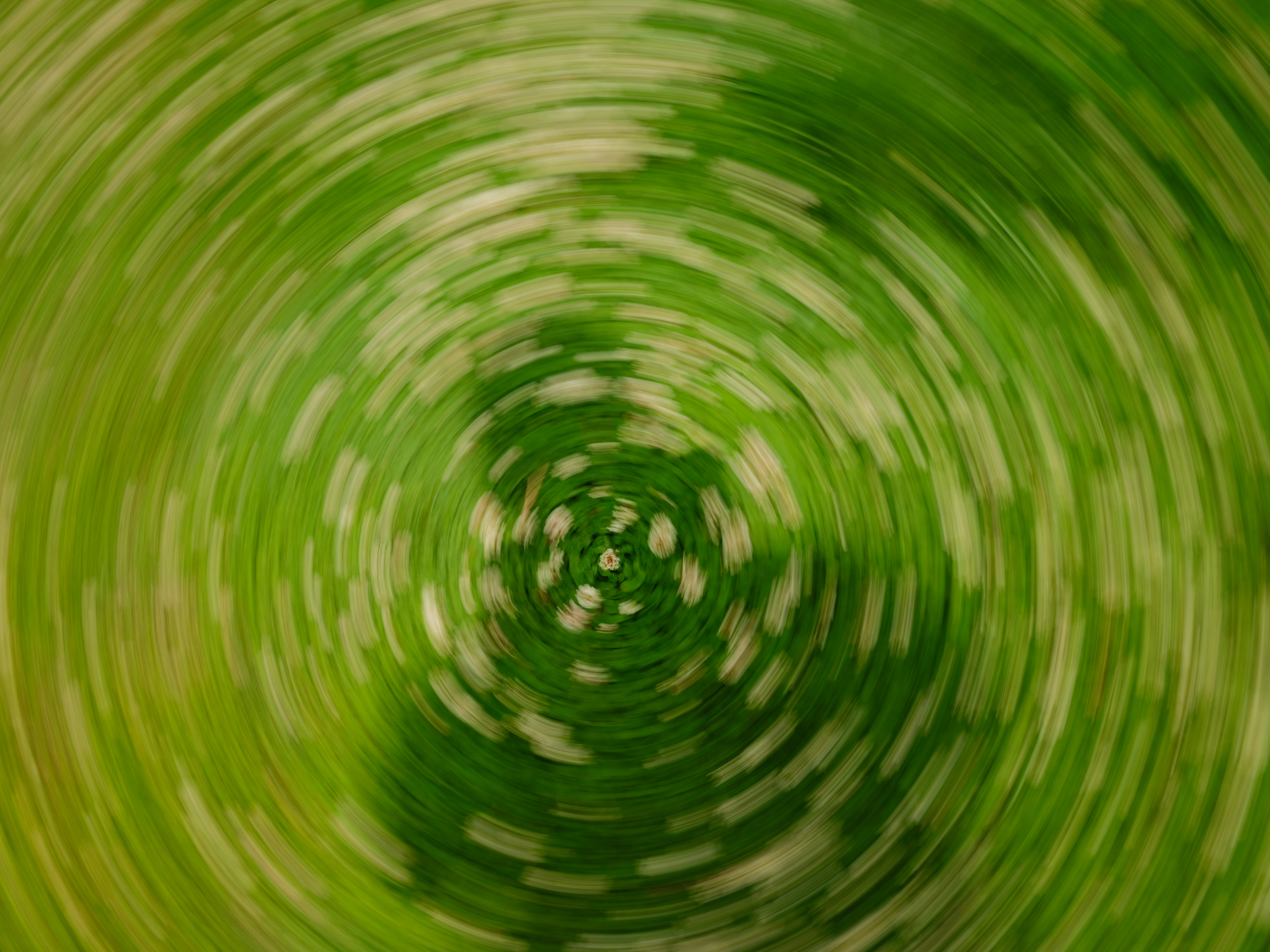Green and white abstract swirl pattern. - 相关推荐