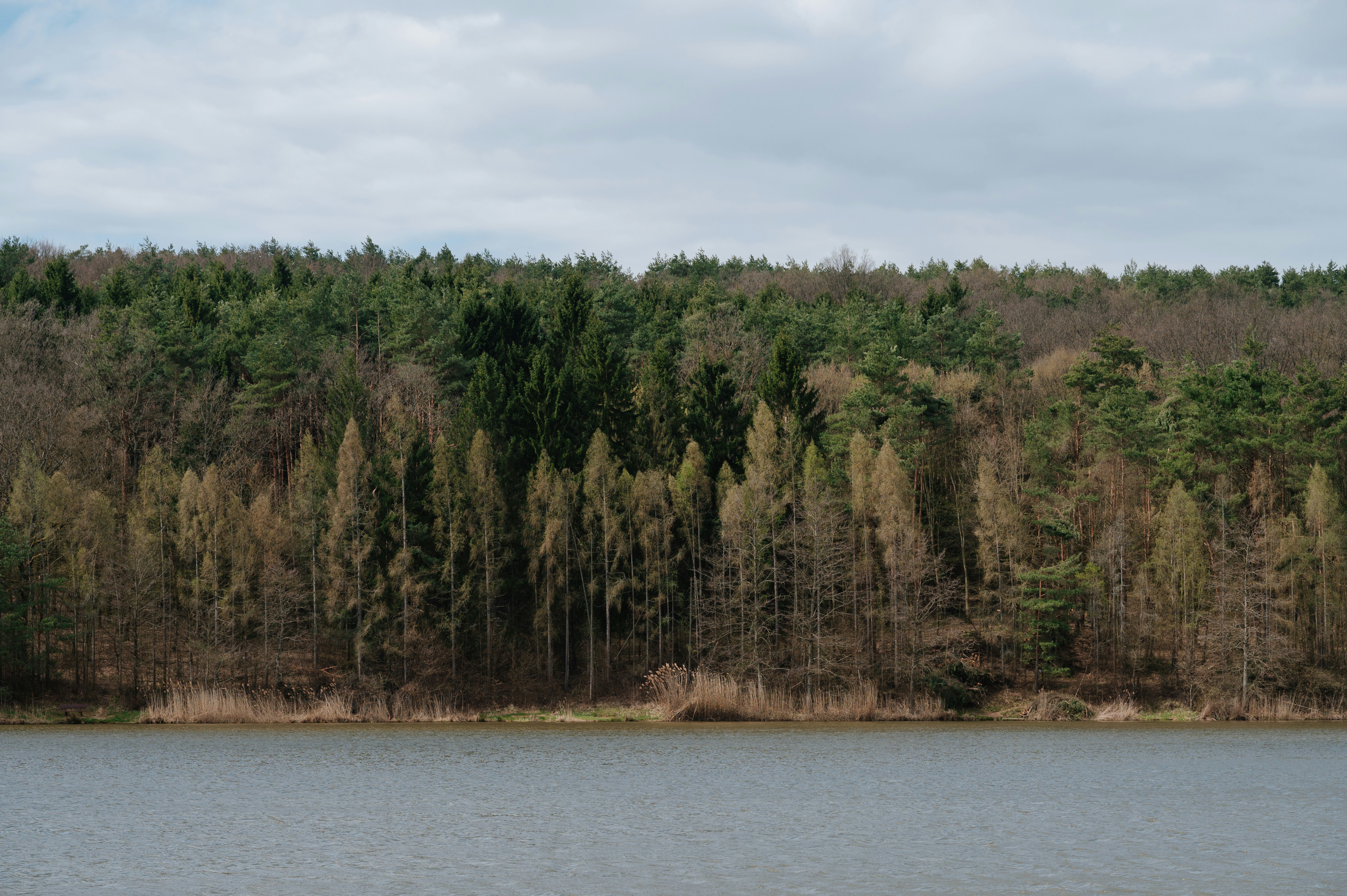 Photo by buduczki