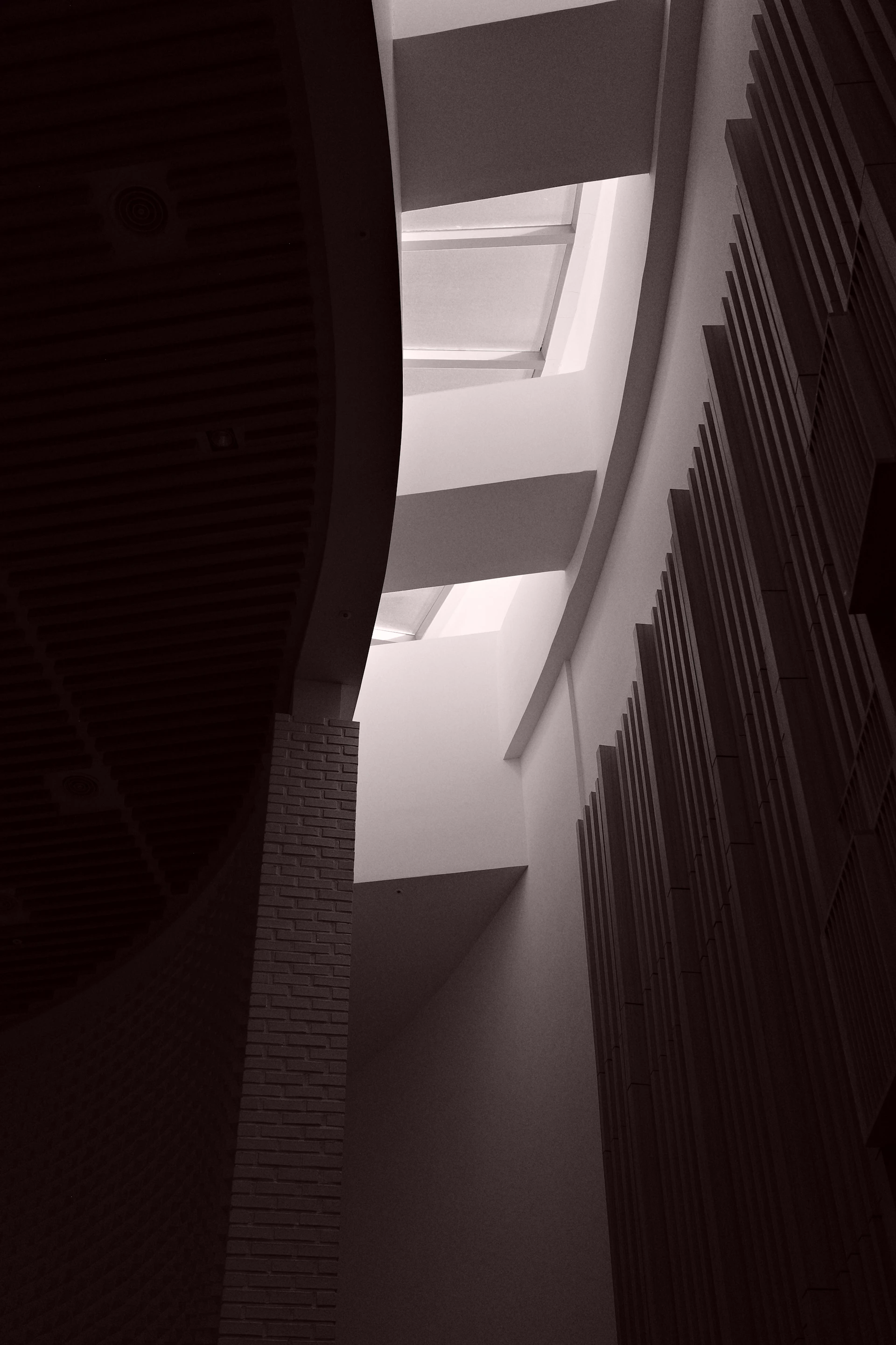 Modern architectural interior with curved walls and skylights.