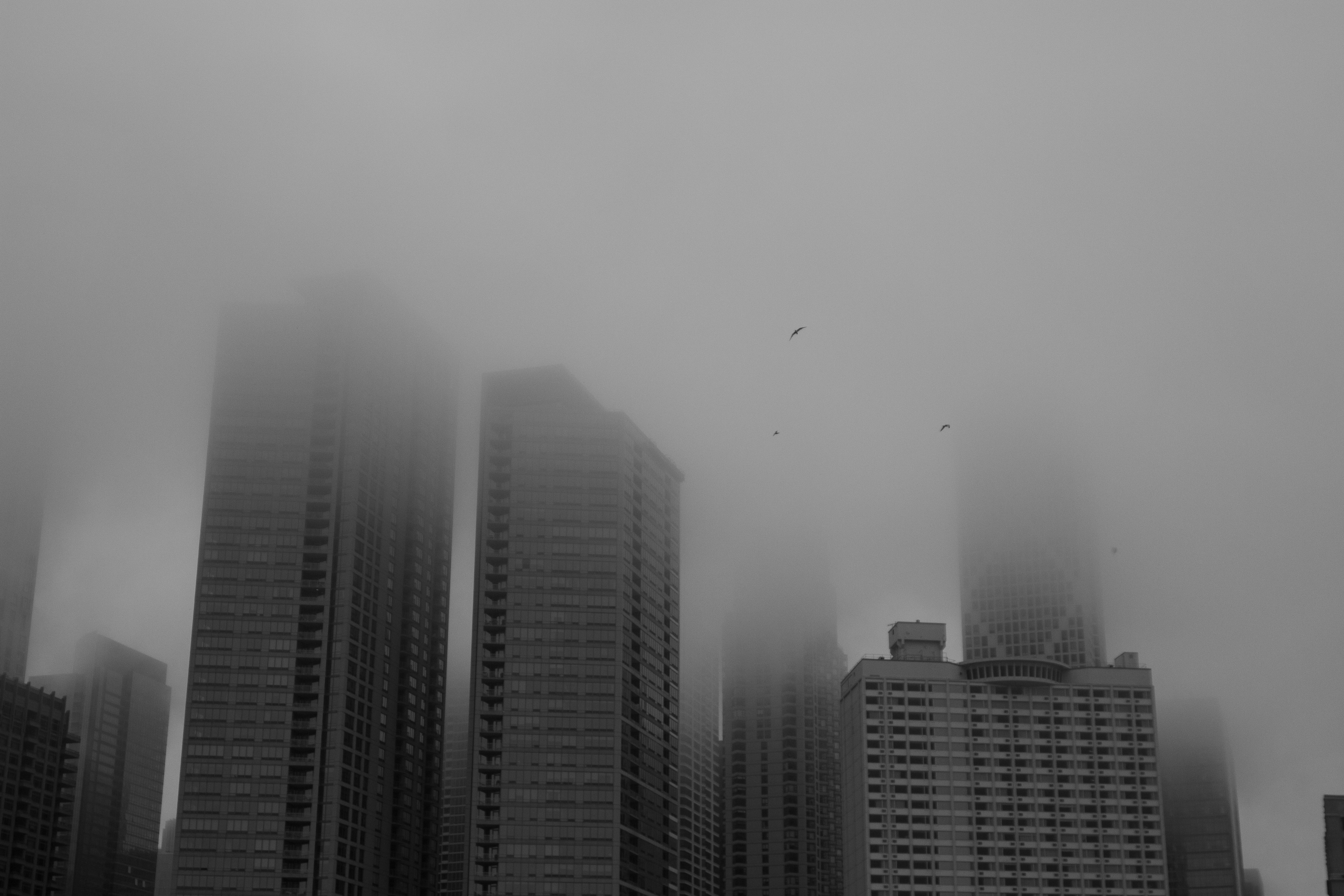 Photo by frontspace101